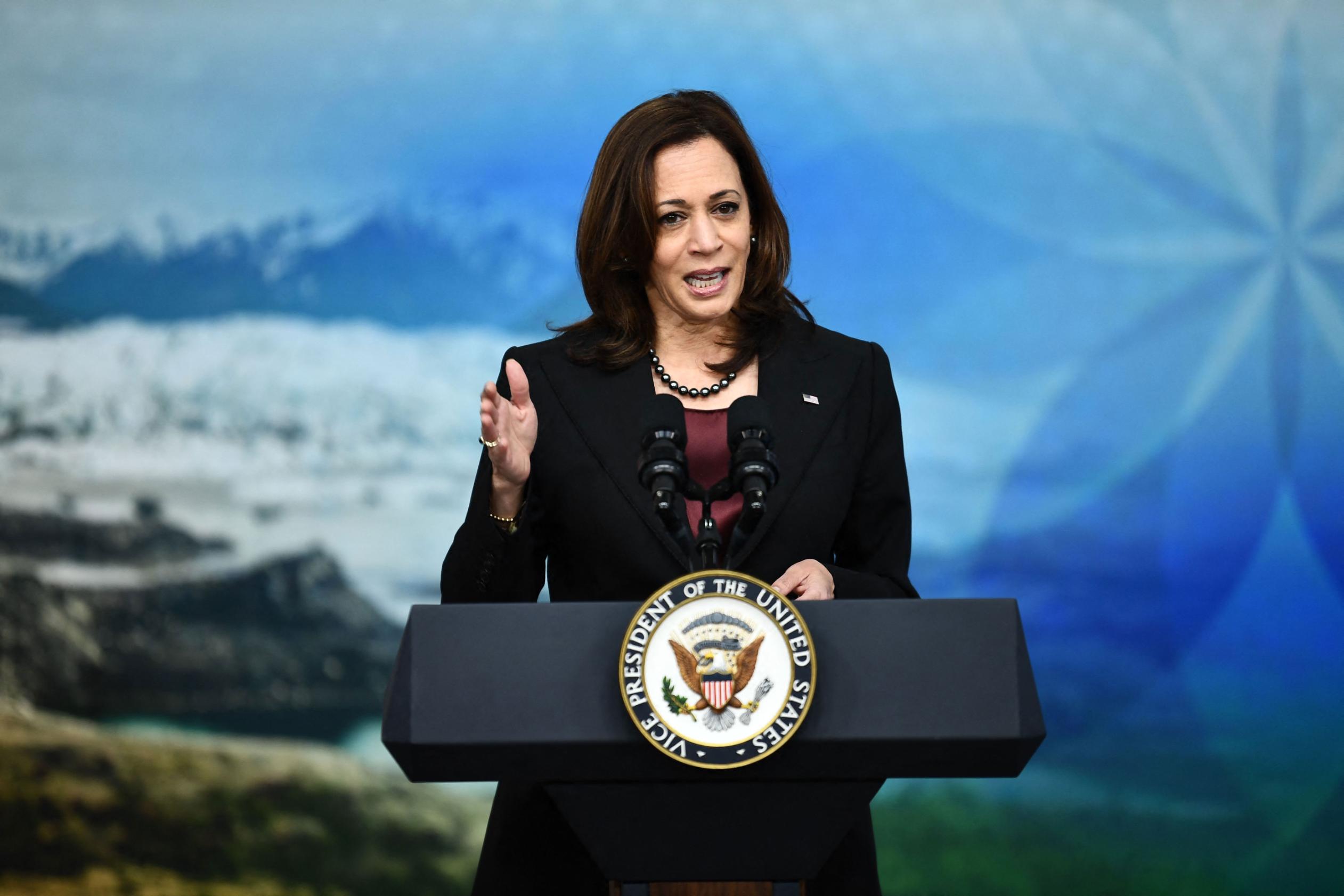 Kamala Harris in Washington, DC on November 16, 2021.