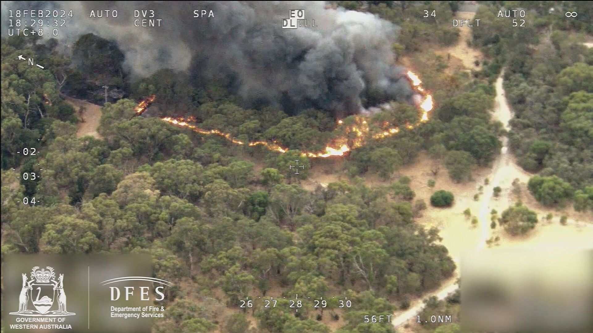 A huge bushfire that tore through 2.6 hectares of land in Gwelup, Perth was sparked by a bird flying into a power line.