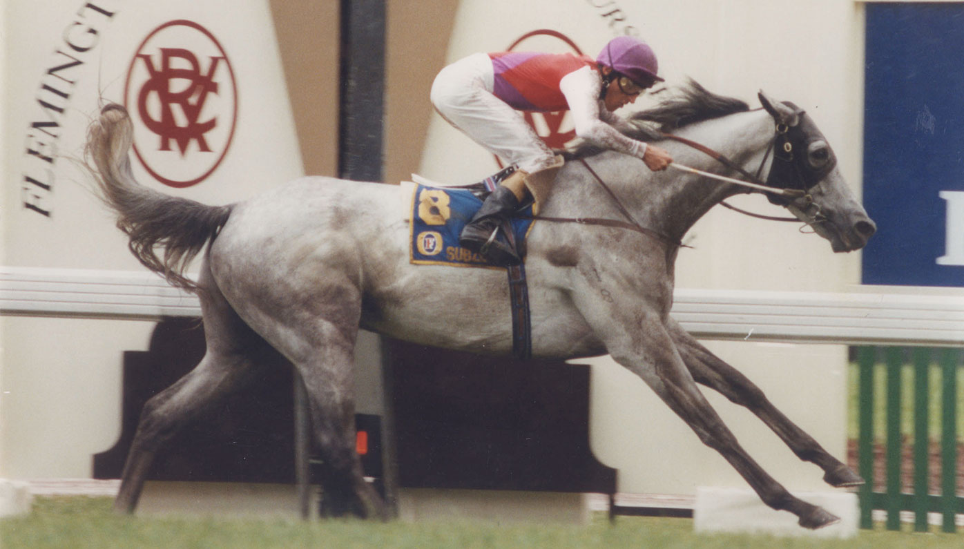 Melbourne Cup winner Subzero dies