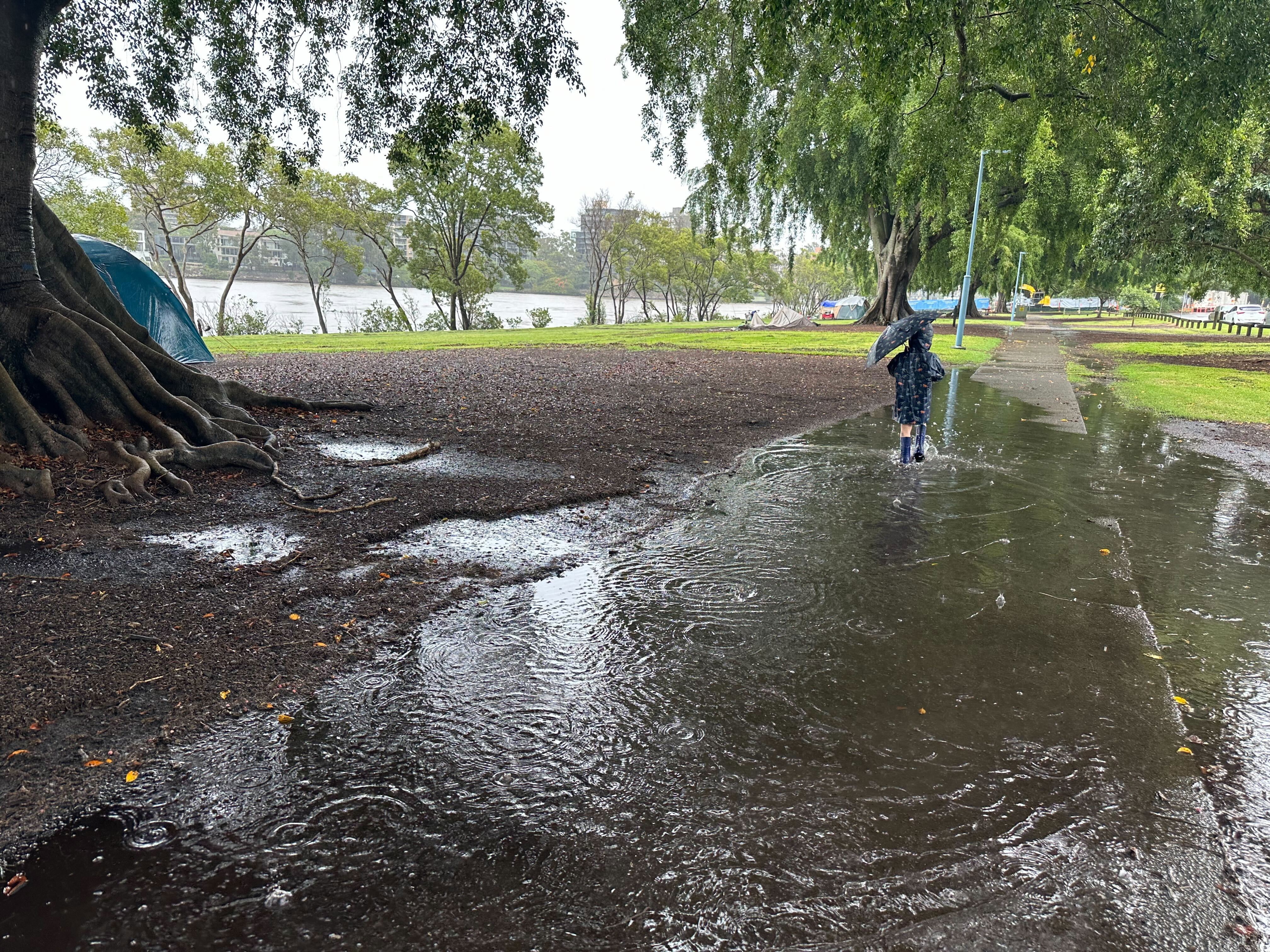 Puddles on a footpath at Orleigh Park in West End, Brisbane, on November 17, 2024, after storms brought heavy rain to the city. 