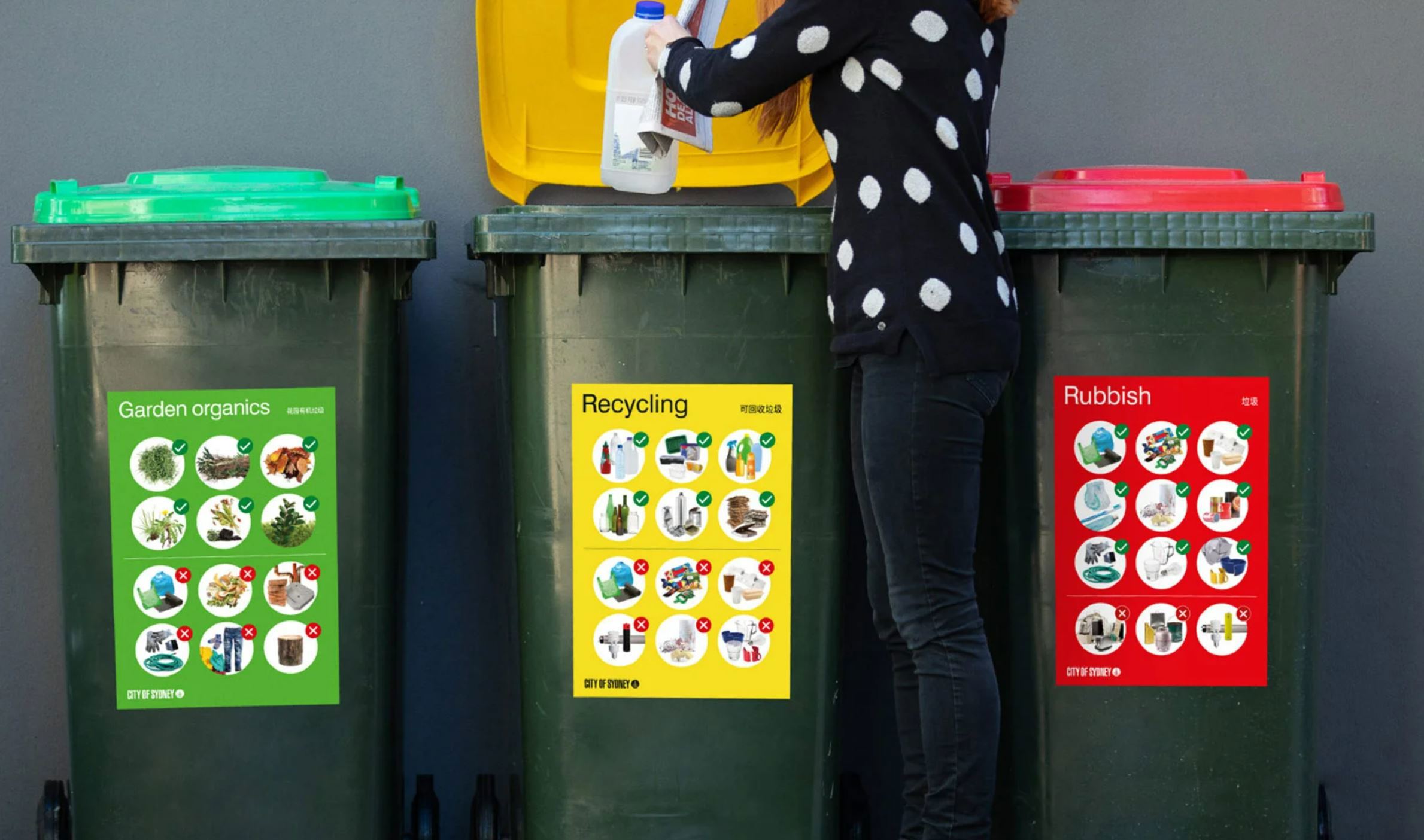 Sweeping change to bin night in NSW