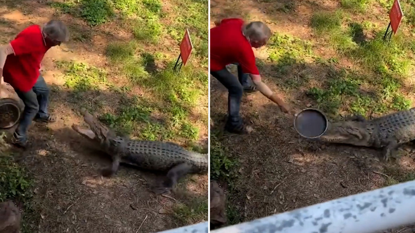 Darwin pub owner hits crocodile with frying pan.
