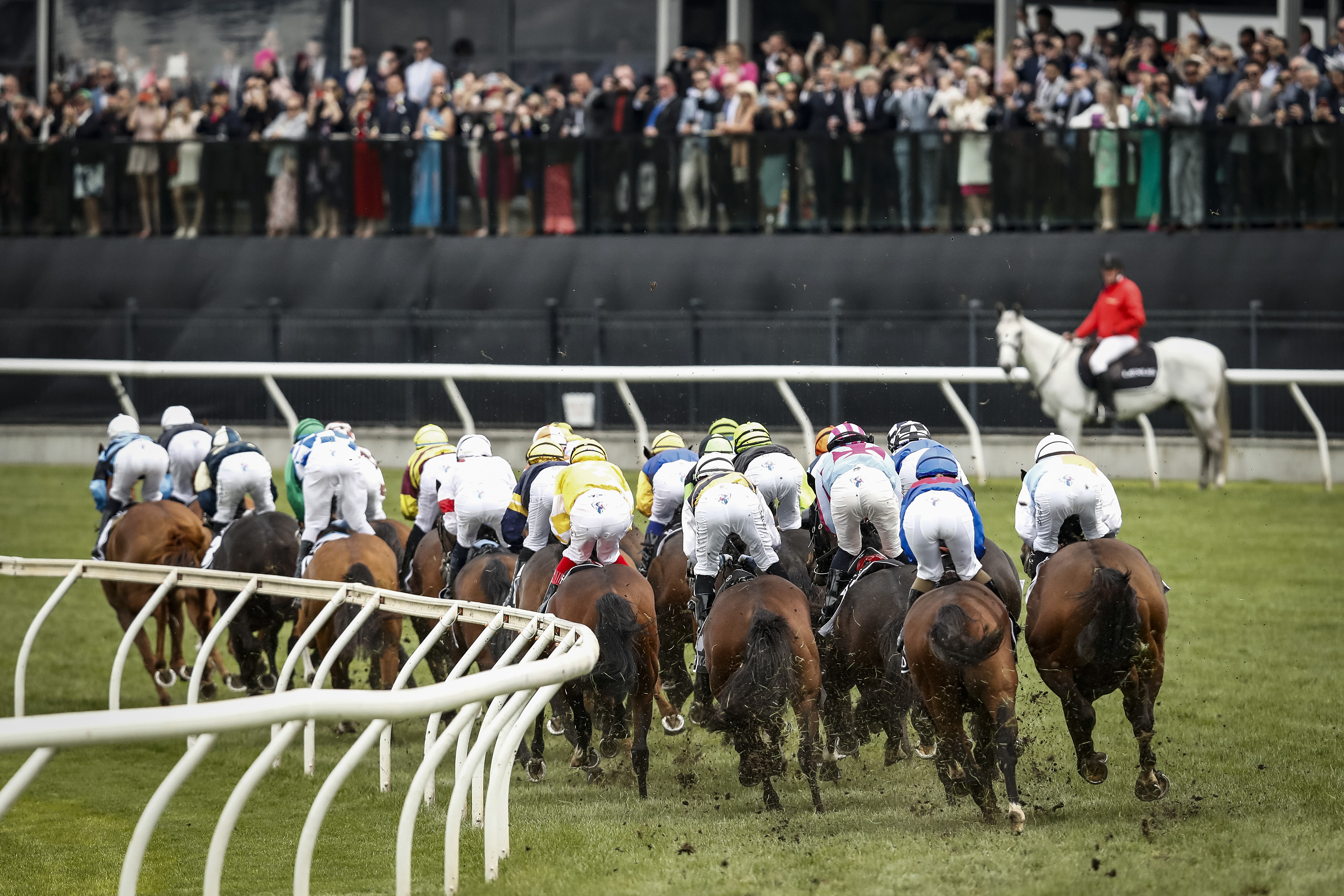 The field runs past the post for the first time in race 7 the Lexus Melbourne Cup.