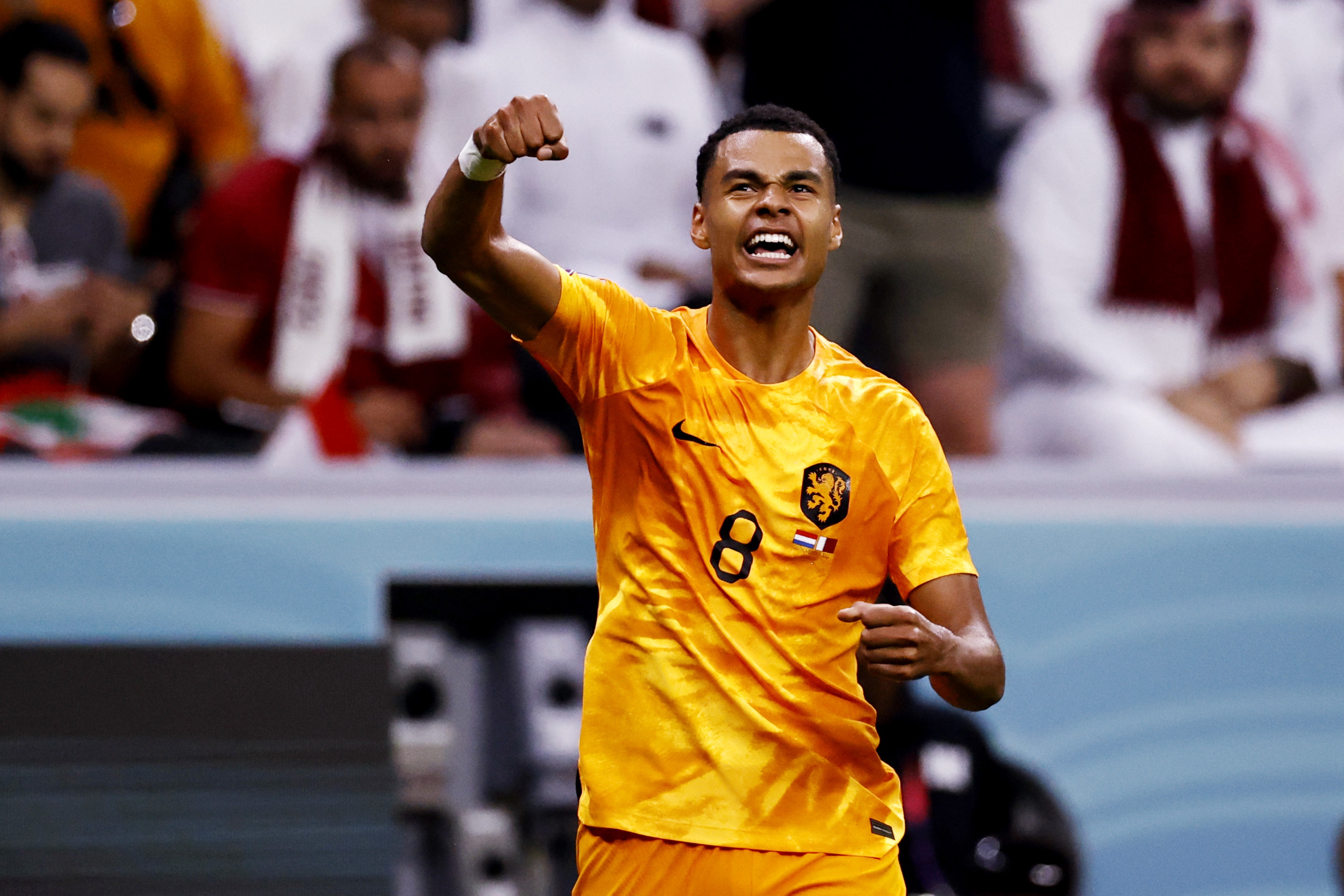 AL KHOR - Cody Gakpo of Holland celebrates the 1-0 during the FIFA World Cup Qatar 2022 group A match between Netherlands and Qatar at Al Bayt Stadium on November 29, 2022 in Al Khor, Qatar. ANP MAURICE VAN STONE (Photo by ANP via Getty Images)