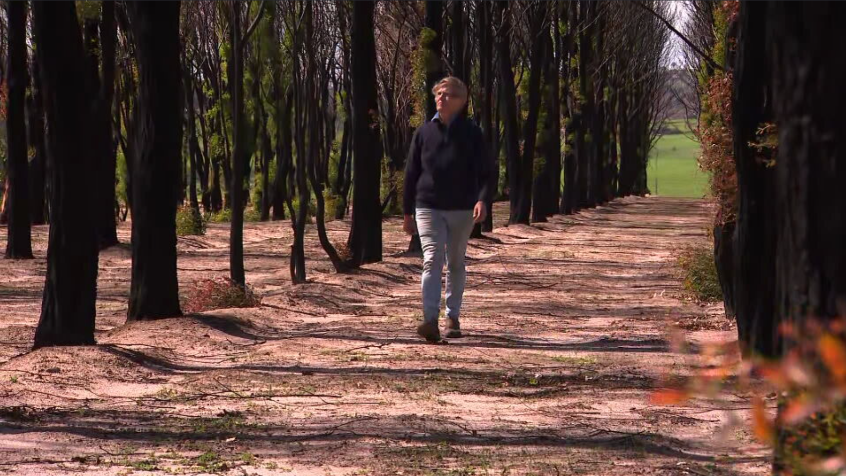 Two fuel tanks on Sarah Thomson's  Ruffy property were siphoned.