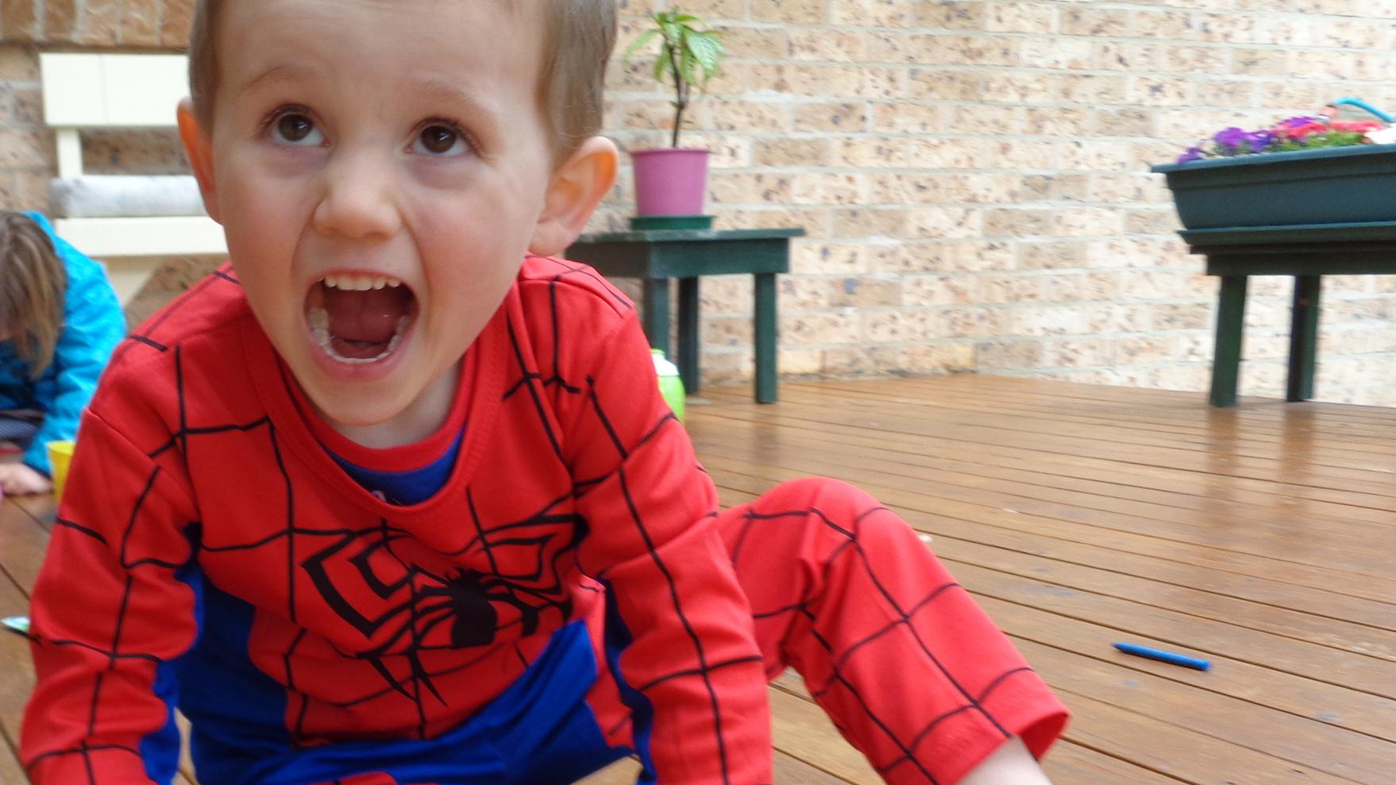 William Tyrrell disappearance inquest Sydney NSW Coroner
