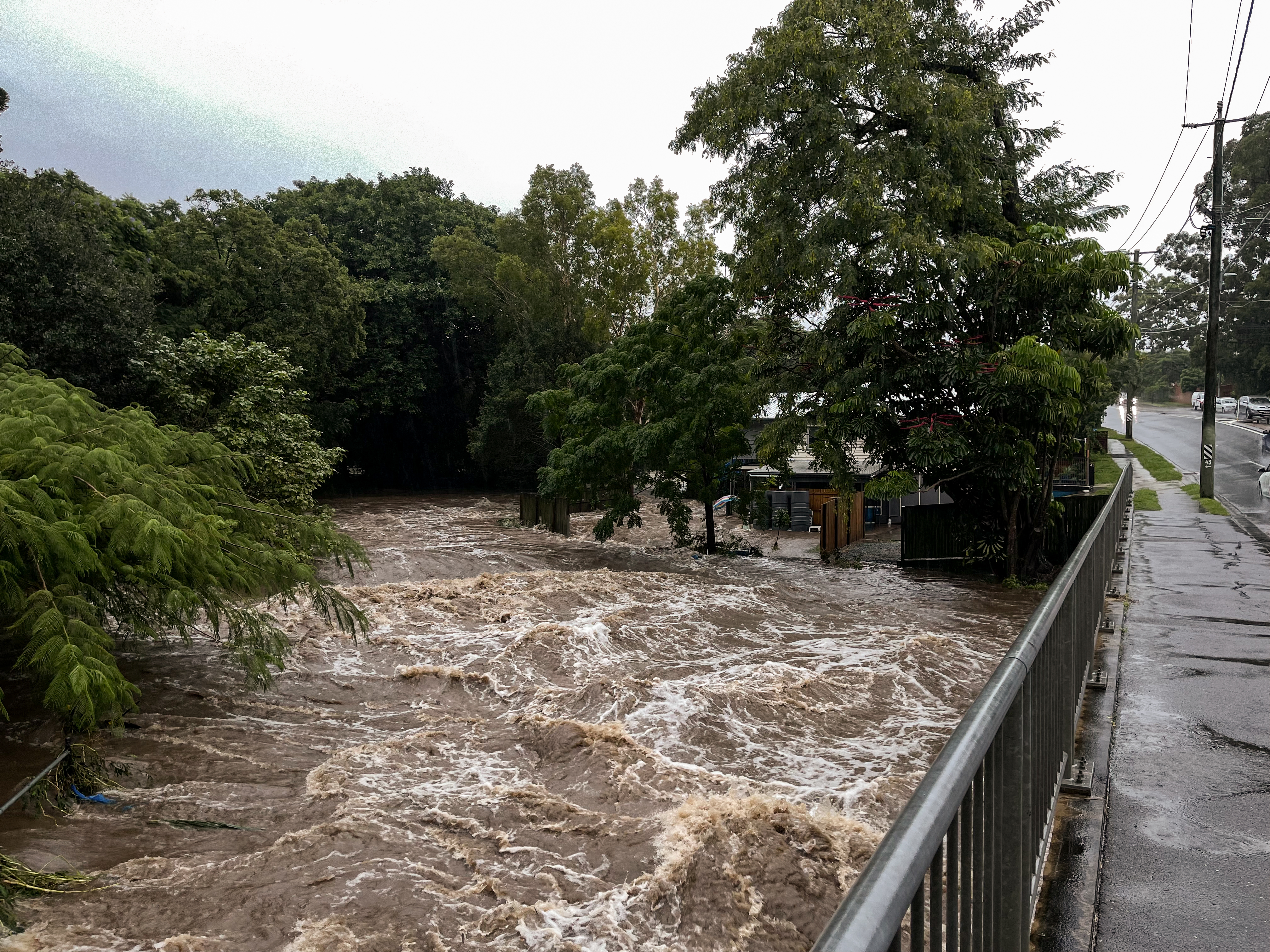 Flooding along Ithaca Creek in Bardon and Red Hill on Sunday, February 27, 2022. Credit: Matt Dennien
