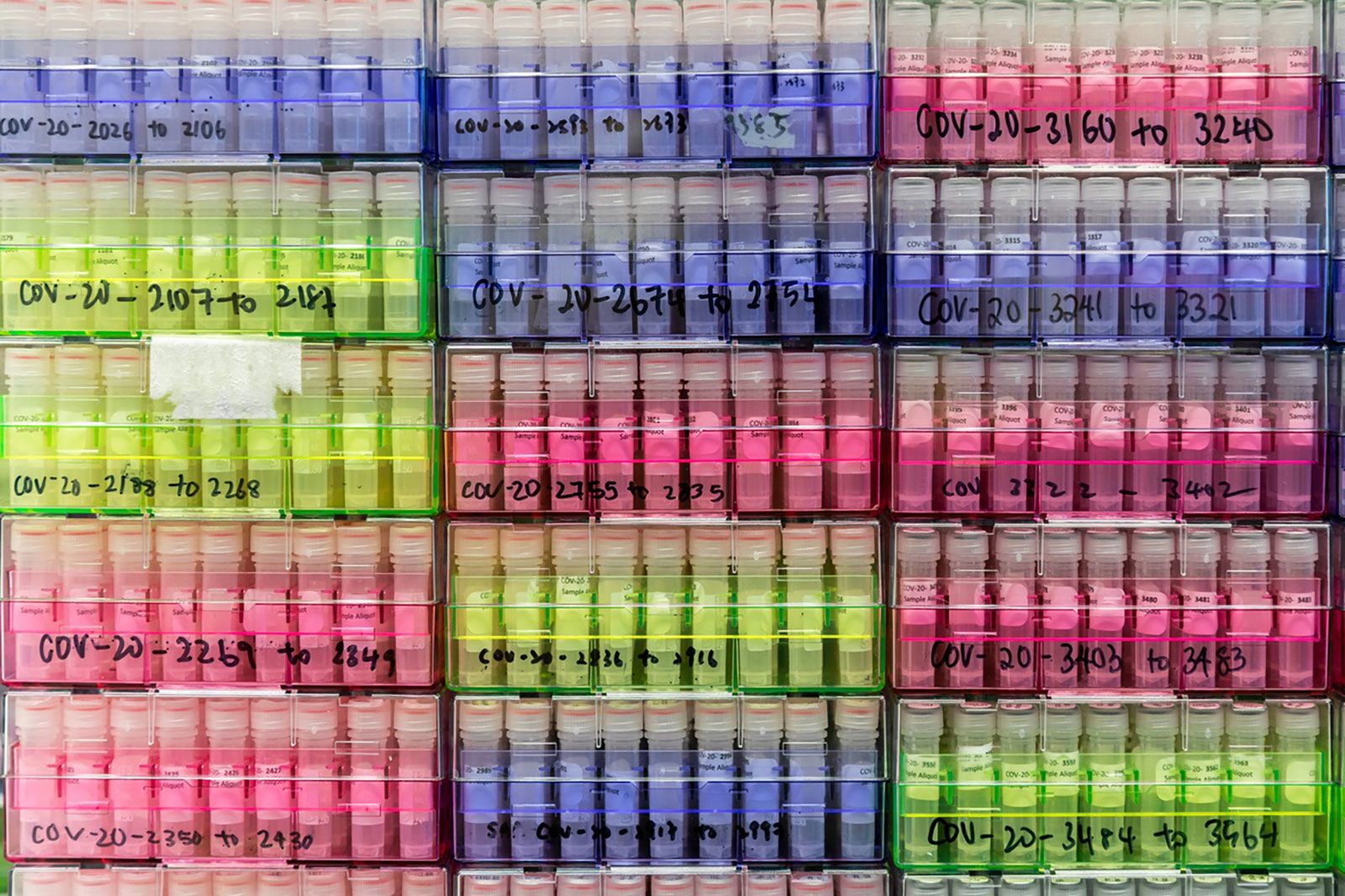 The World Health Organisation has designated BA.2.86 a "variant under monitoring" on.