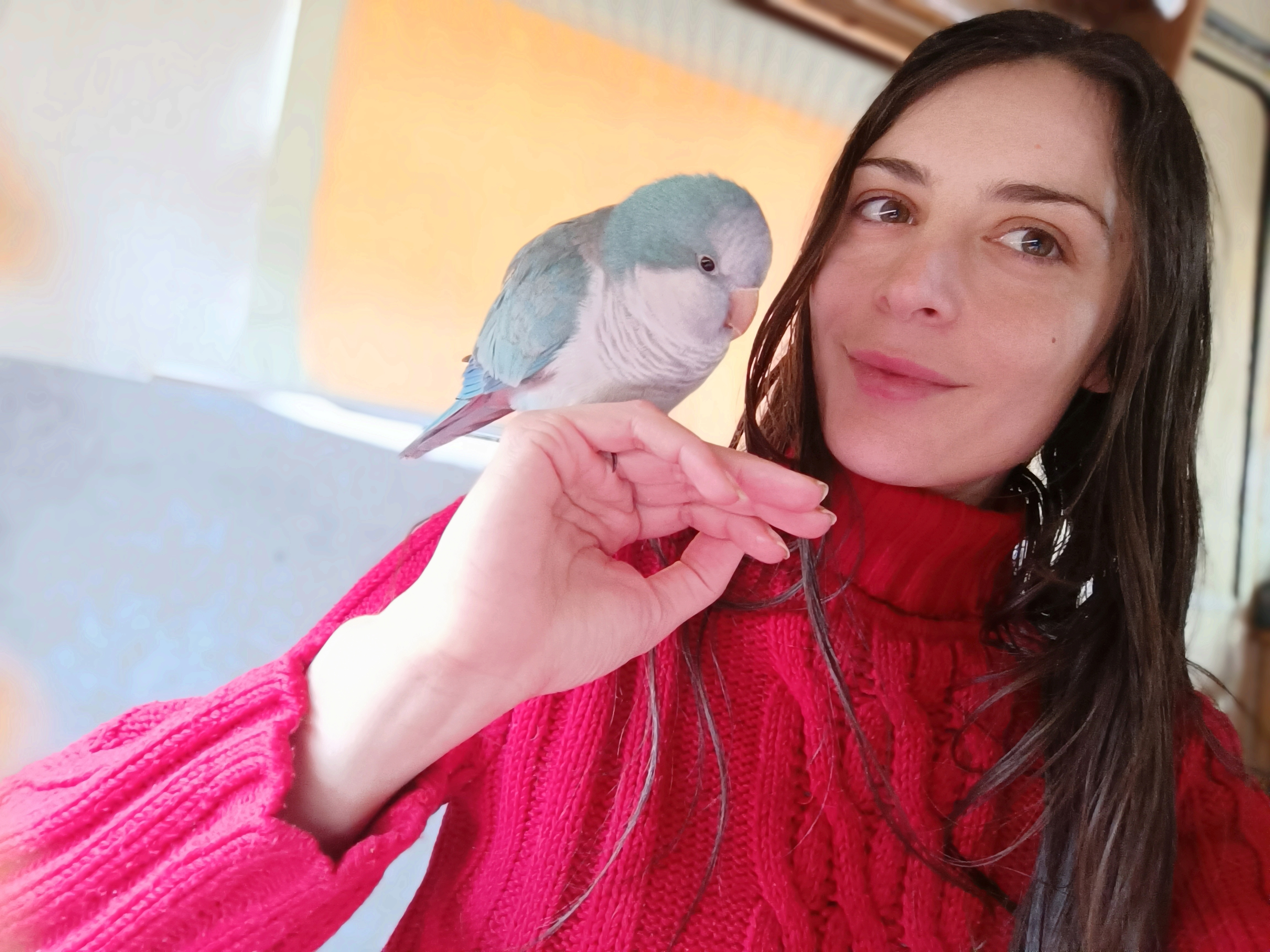 If Rio was a dog, she'd have no trouble coming home to Australia