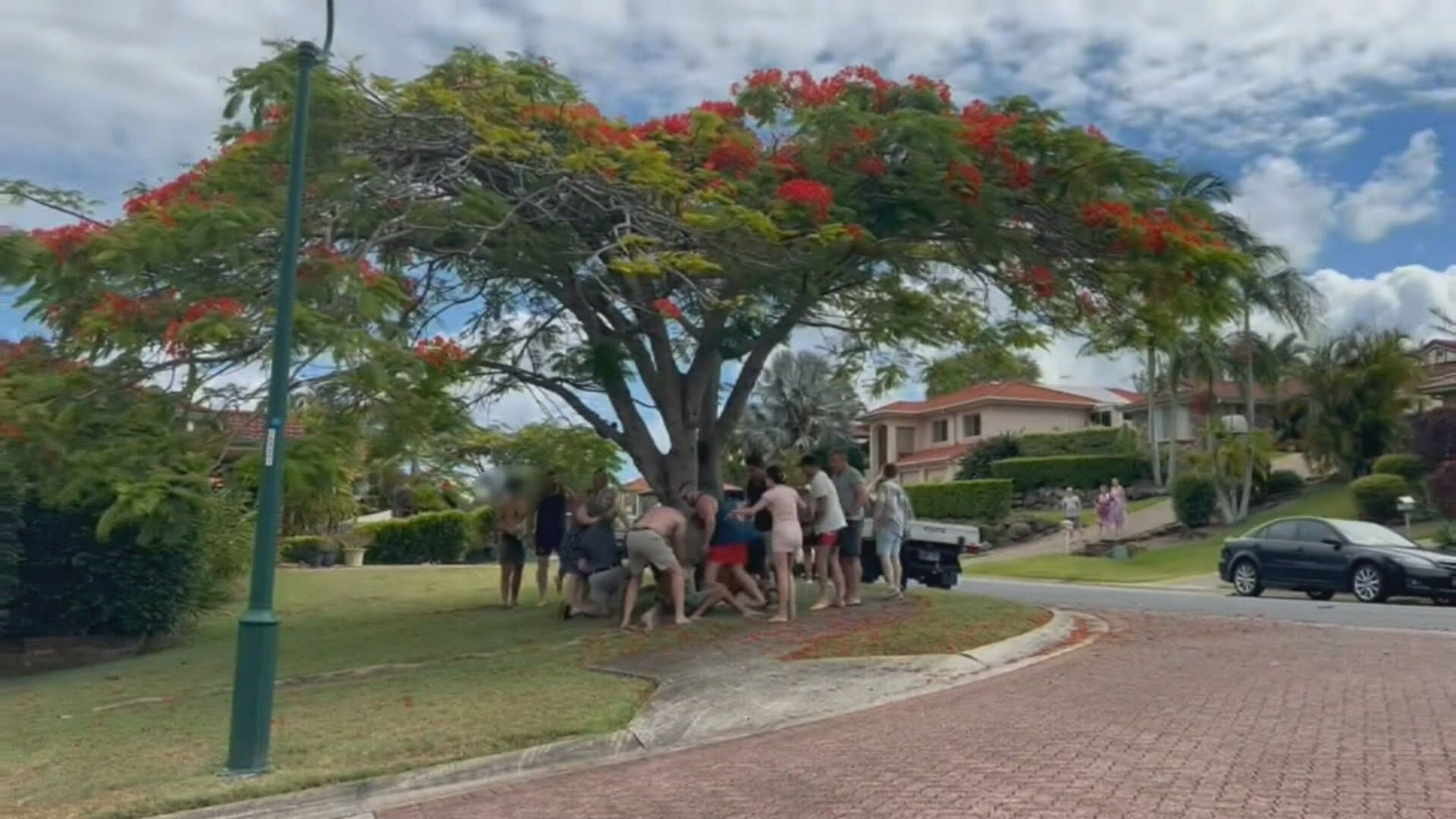 Gold Coast residents perform citizen's arrest on teens in Helensvale