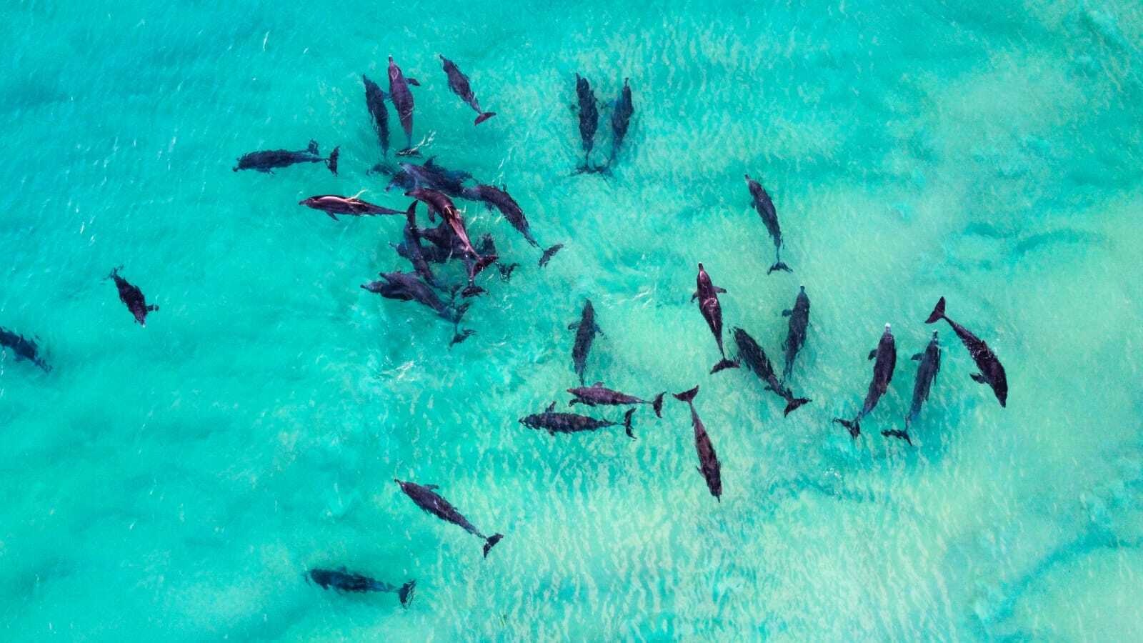 A tourist captured the stunning sight with a drone.