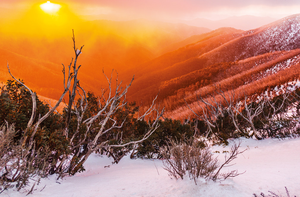 Sunset through fog at Mount Hotham, Victoria. (Bureau of Meteorology)