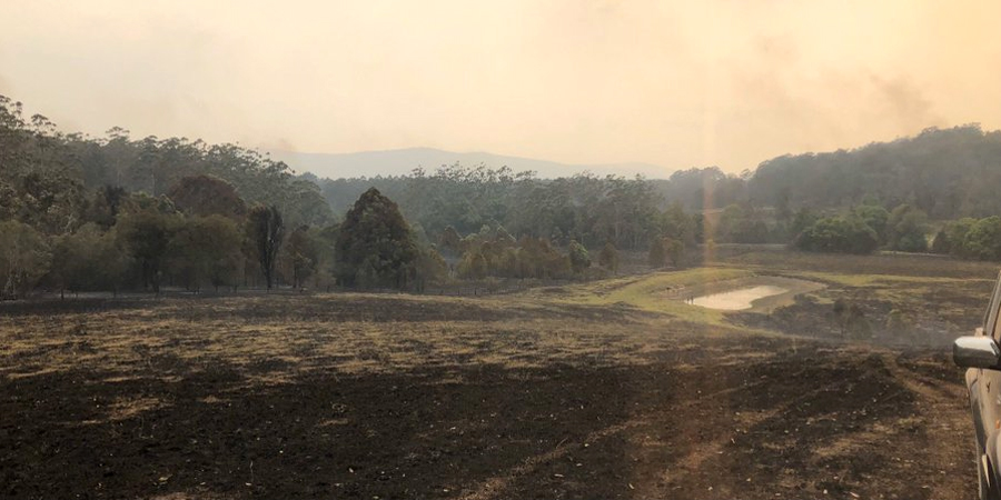 A photo taken by Russell Crowe at his NSW country property after it was ravaged by bushfires.