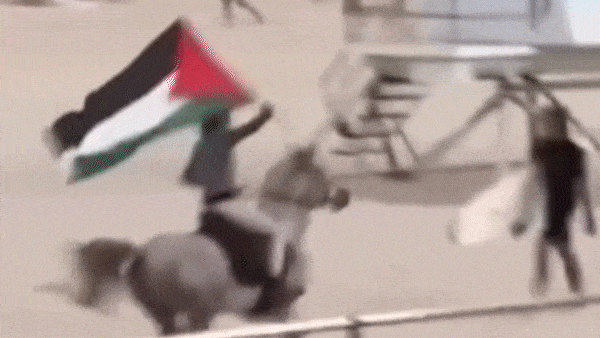 A man rides a horse on Bondi Beach, Sydney, Australia, waving a Palestinian flag.