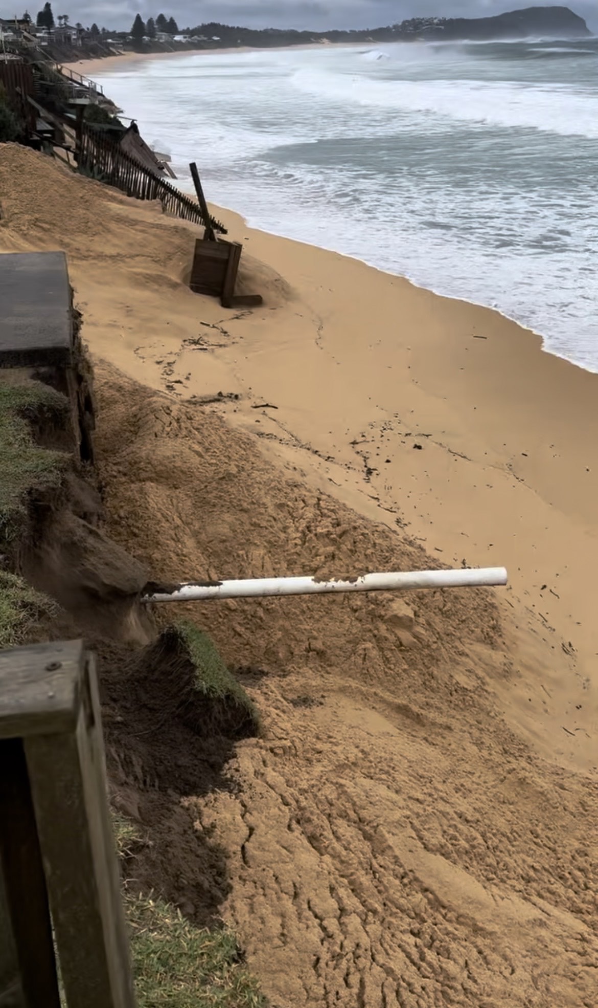 Images taken at Wamberal Beach on Tuesday morning.