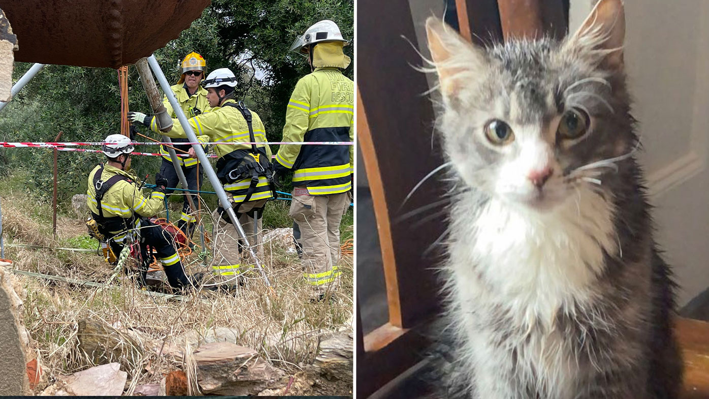 Woman and cat rescued from well Gawler West Adelaide