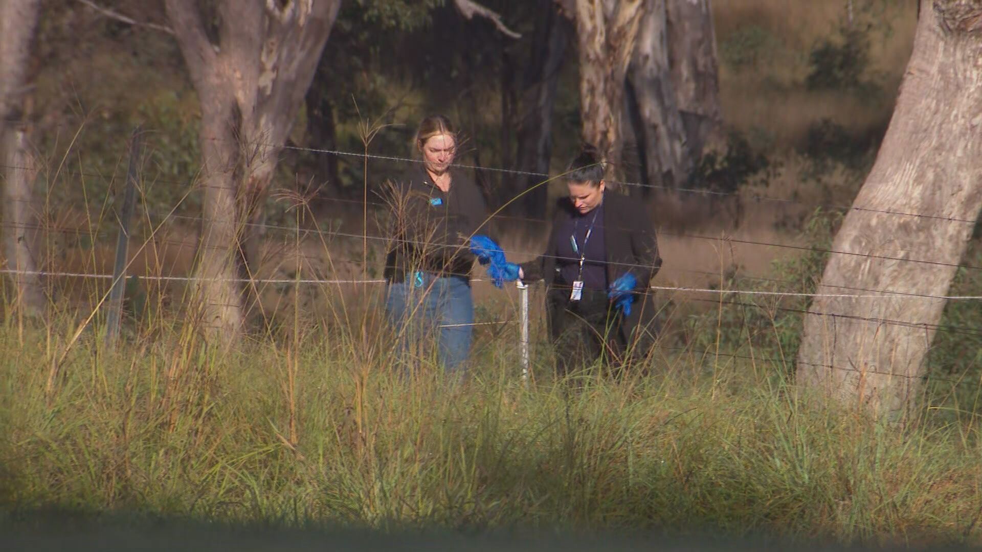 Coonabarabran: Two young boys found dead in home