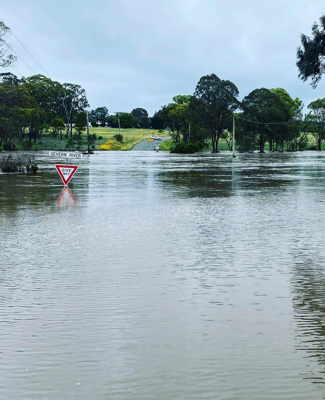The Severn River is swollen in Stanthorpe, Queensland today after the area was inundated with rain. This photo was shared by the Bureau of Meteorology from @elite_blinds_and_installations. 