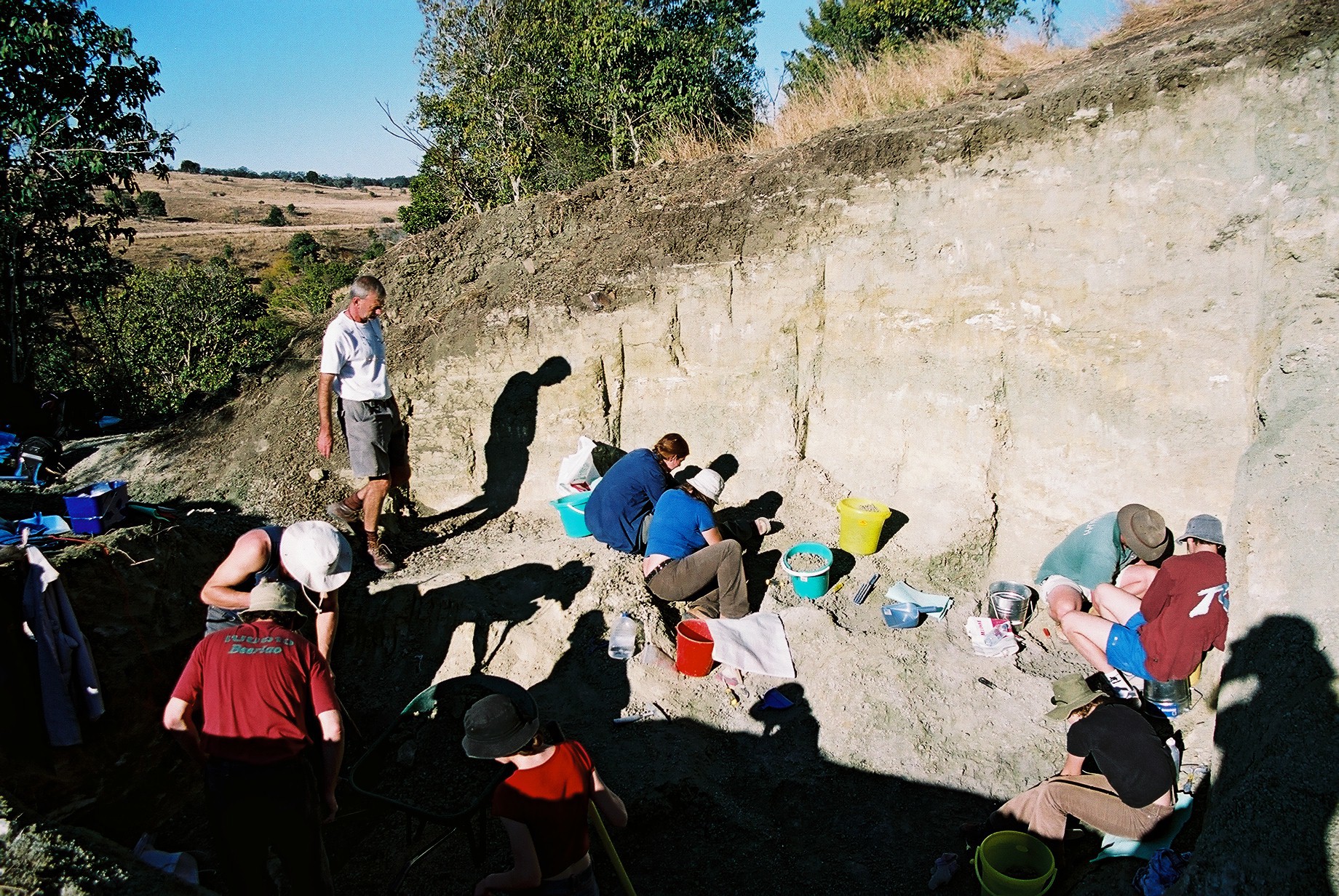 Teams excavating fossils of crocodile in Murgon, Queensland.