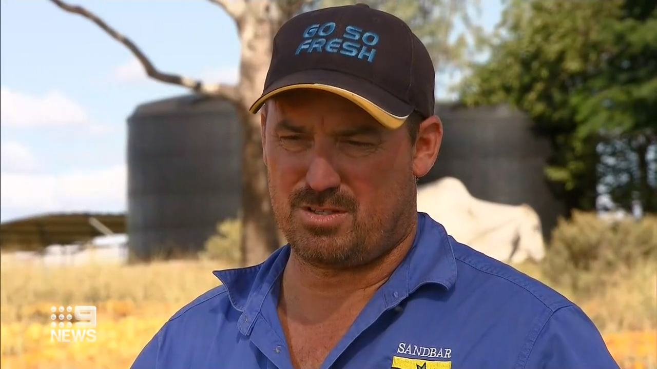 Farmers dumping tonnes of citrus fruit due to labour shortages