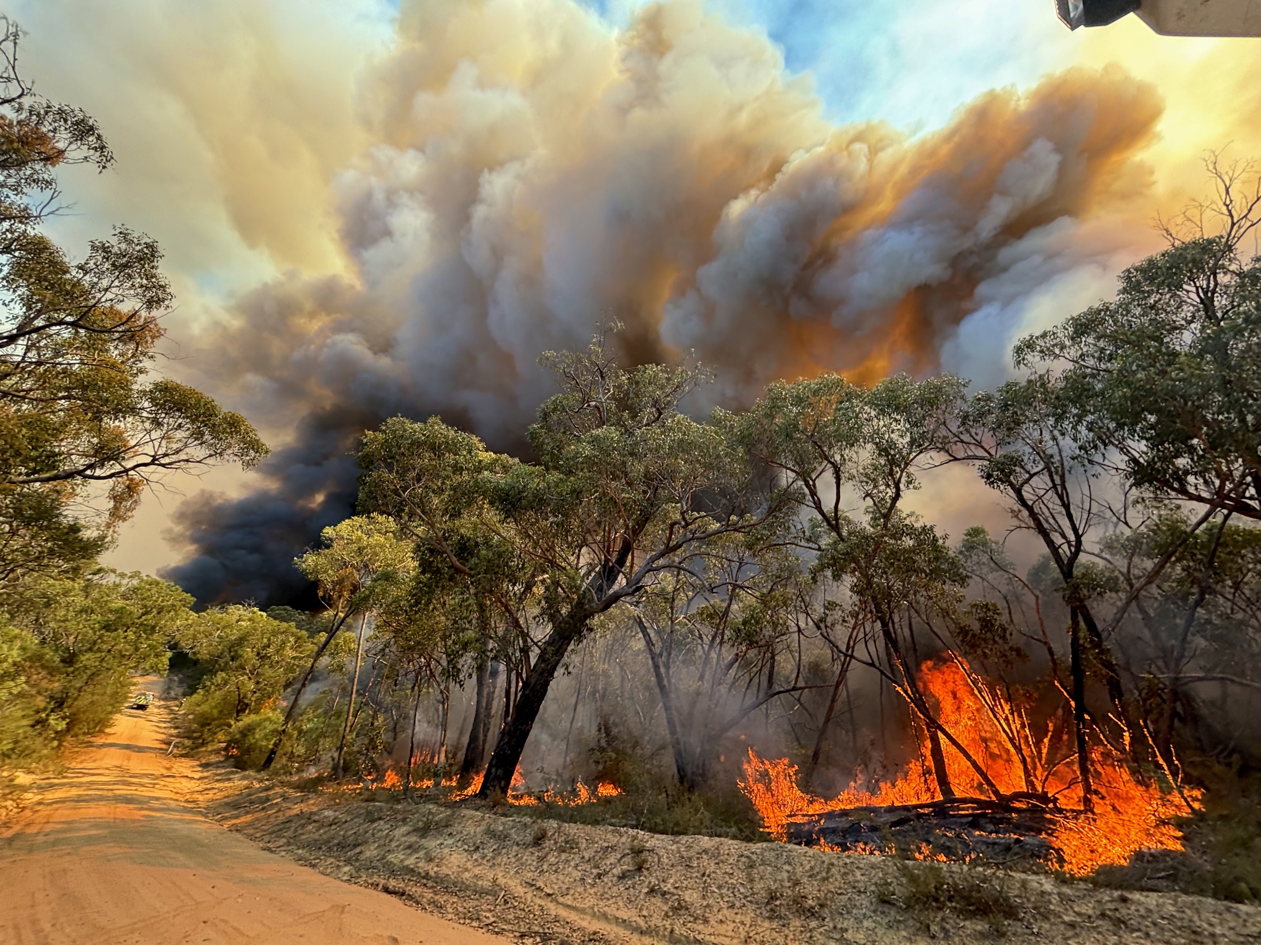 VICTORIAN BUSHFIRES: Little Desert fire - 3.2.25