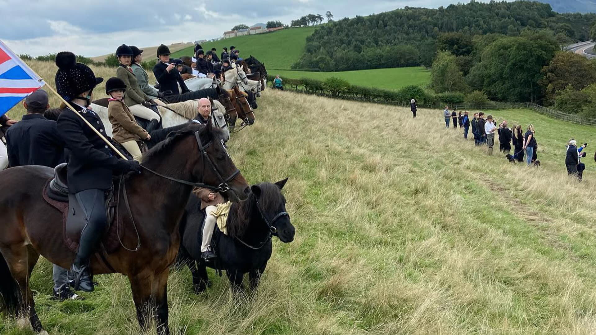 horses