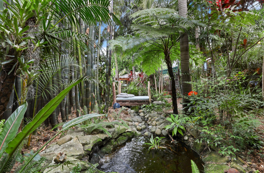 Home in Sydney's Earlwood that feels like a sanctuary.