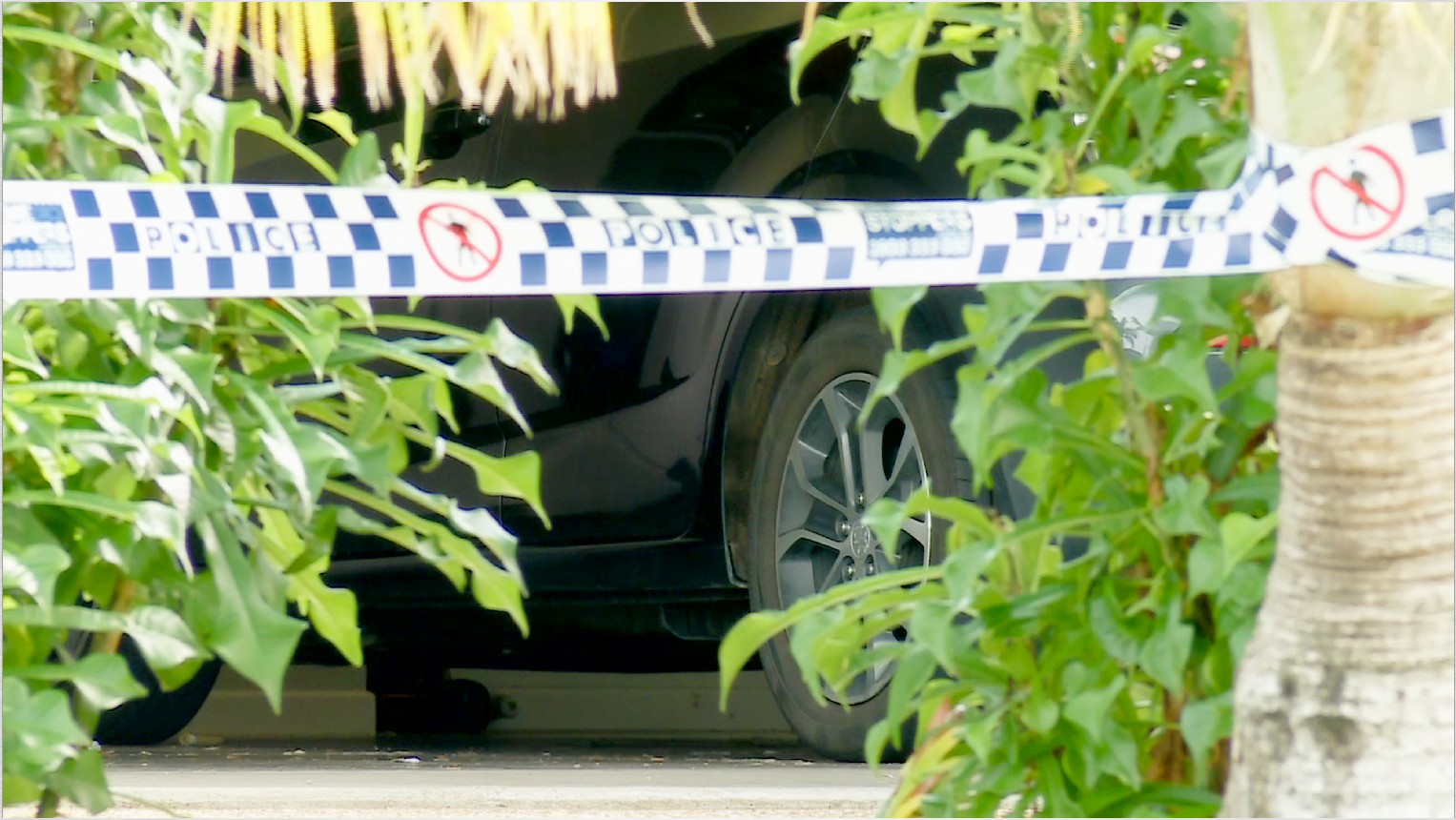Emergency services were initially called to the Cypress Avenue, Norman Gardens address just after midday on Monday following reports of an assault. 