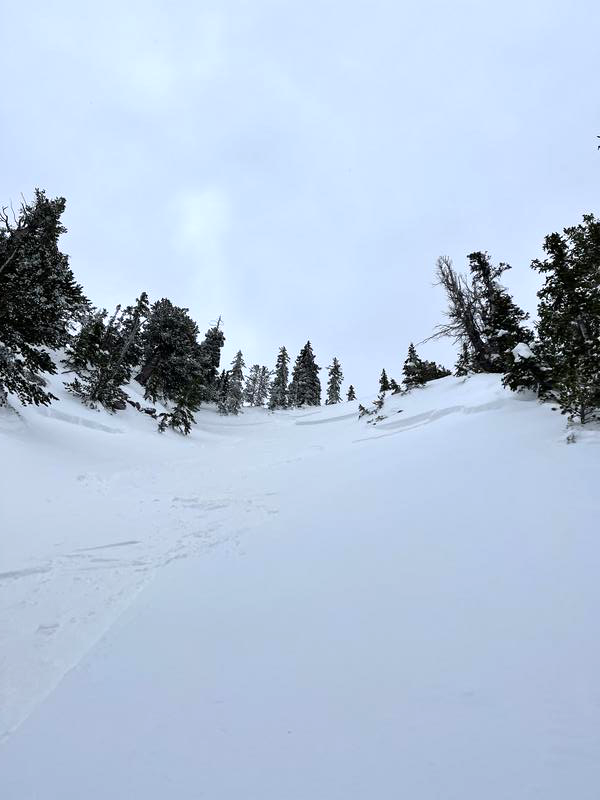 The avalanche carried the snowboarder almost 100 metres down the mountain.