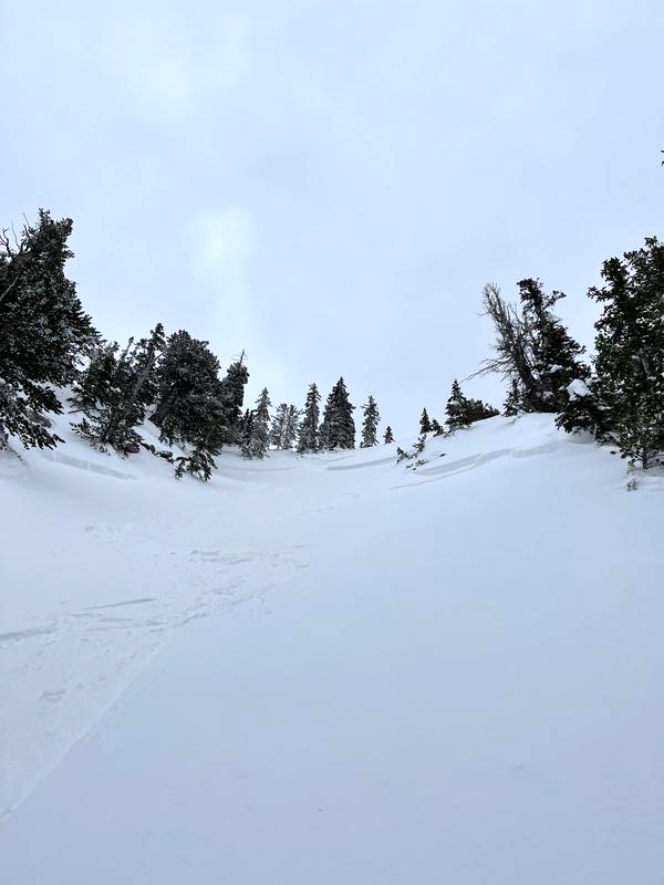 La avalancha arrastró al snowboarder casi 100 metros montaña abajo.