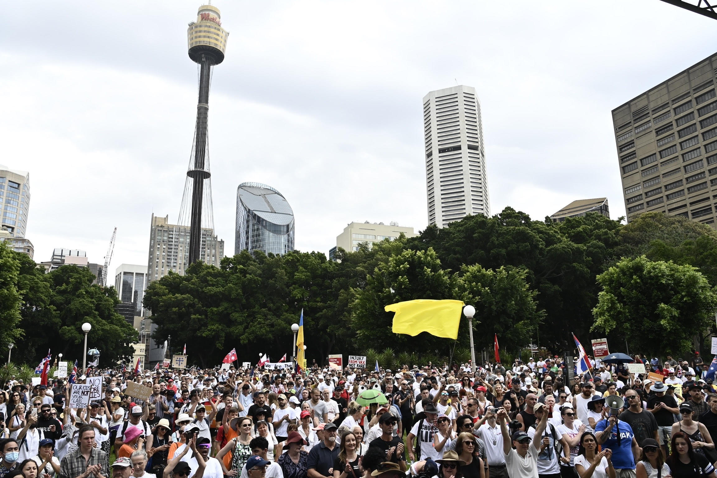 Protesters gather in Sydney's CBD to show their support for Novak Djokovic. 