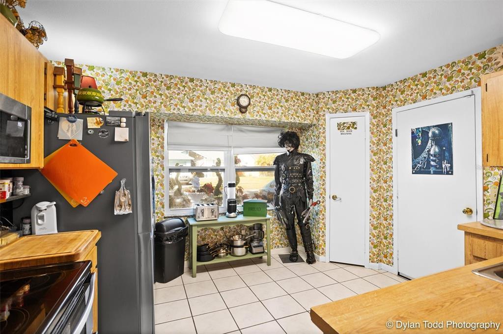 Edward Scissorhands house for sale scissorland florida