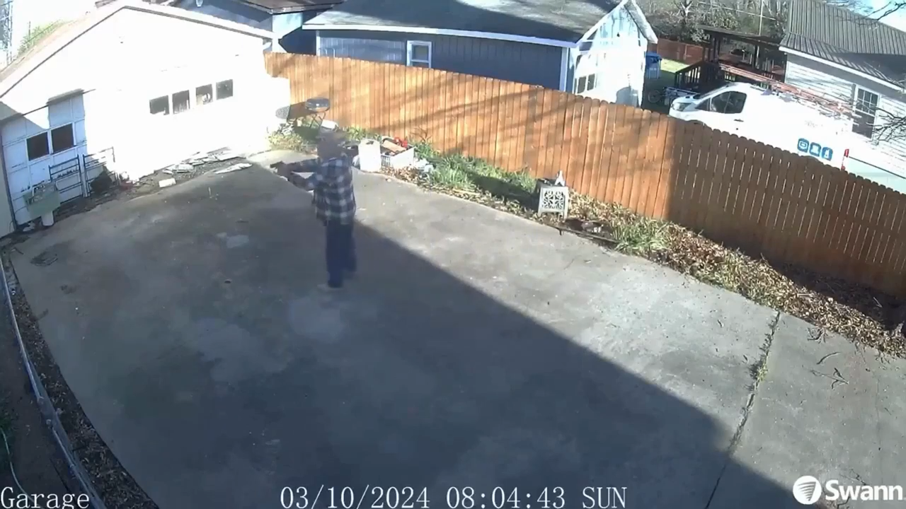 CCTV supuestamente muestra a un hombre disparando al perro de un vecino.