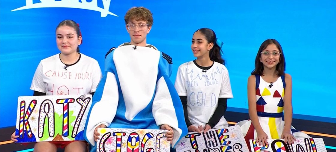 Katy Perry fans pulled on stage
