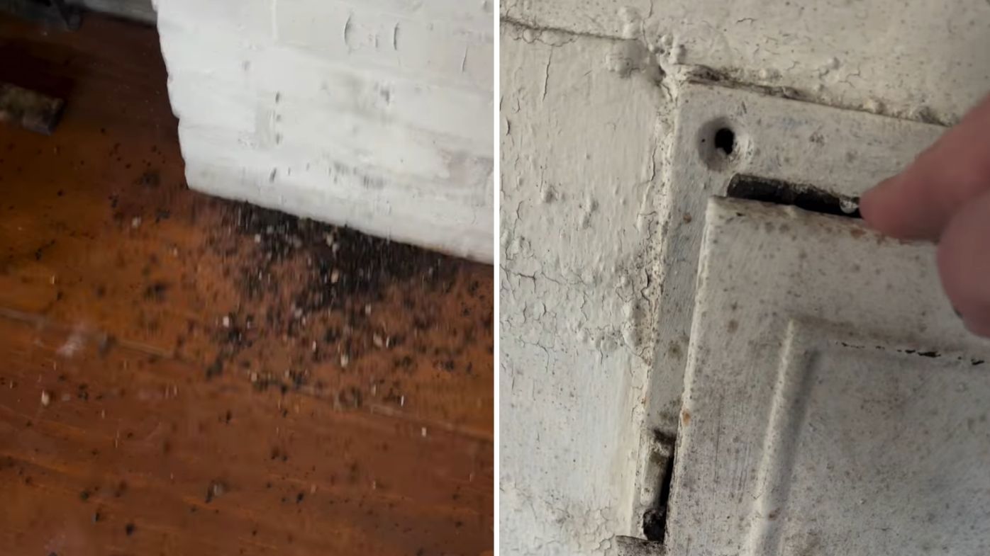 The Gilded Hoax of the Artist Discovery Narrative