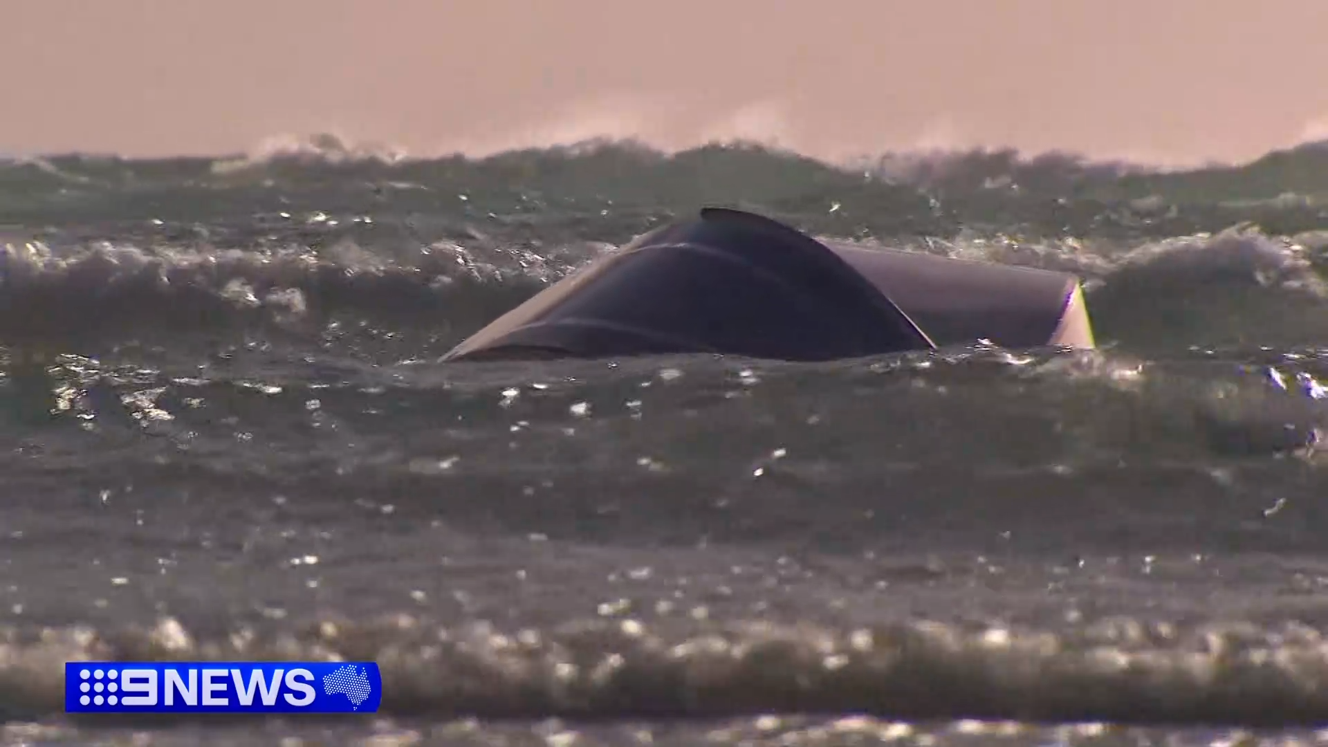 SA coroner urges lifejacket reforms after eight deaths