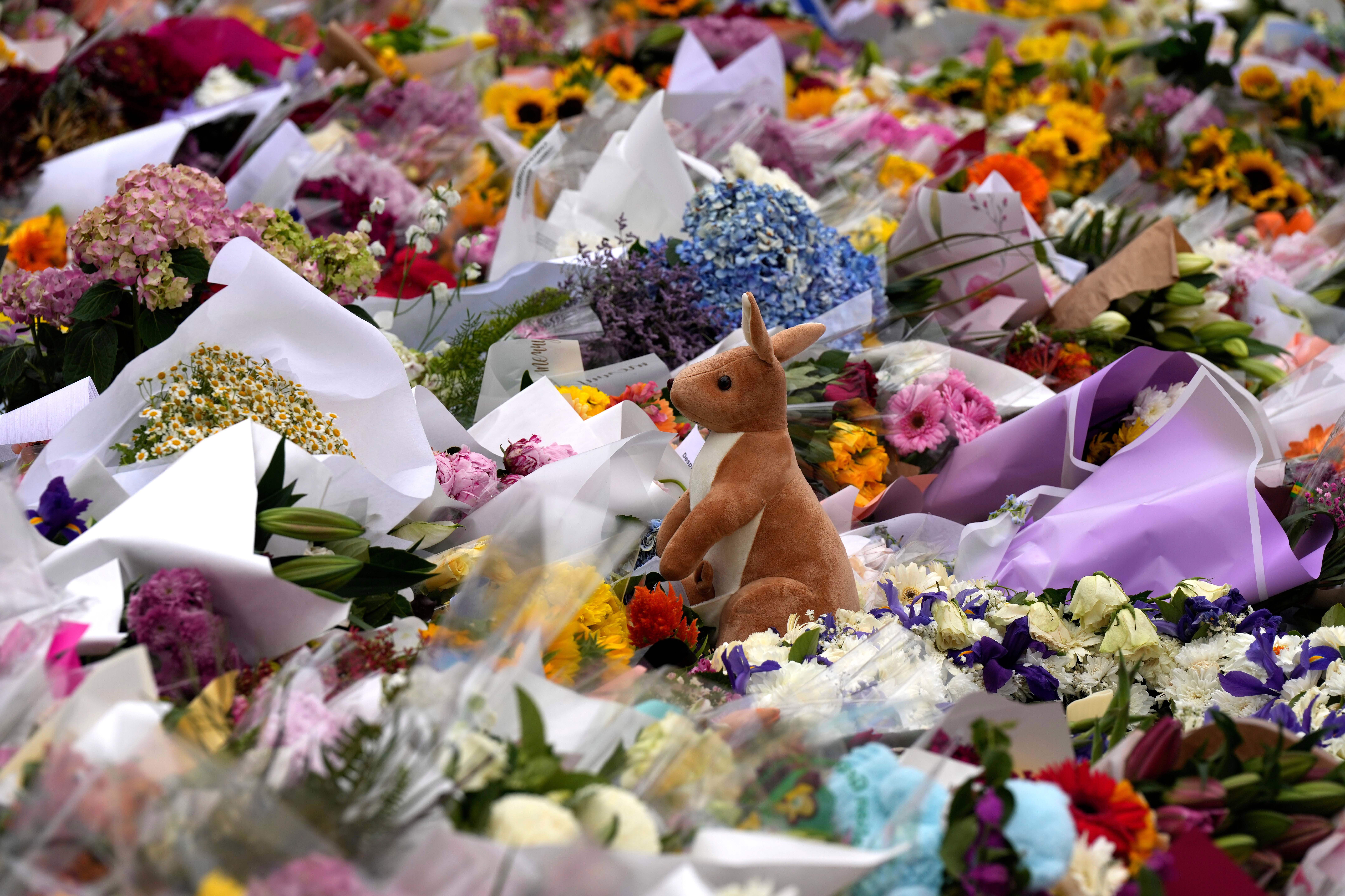 Bondi Beach shootings