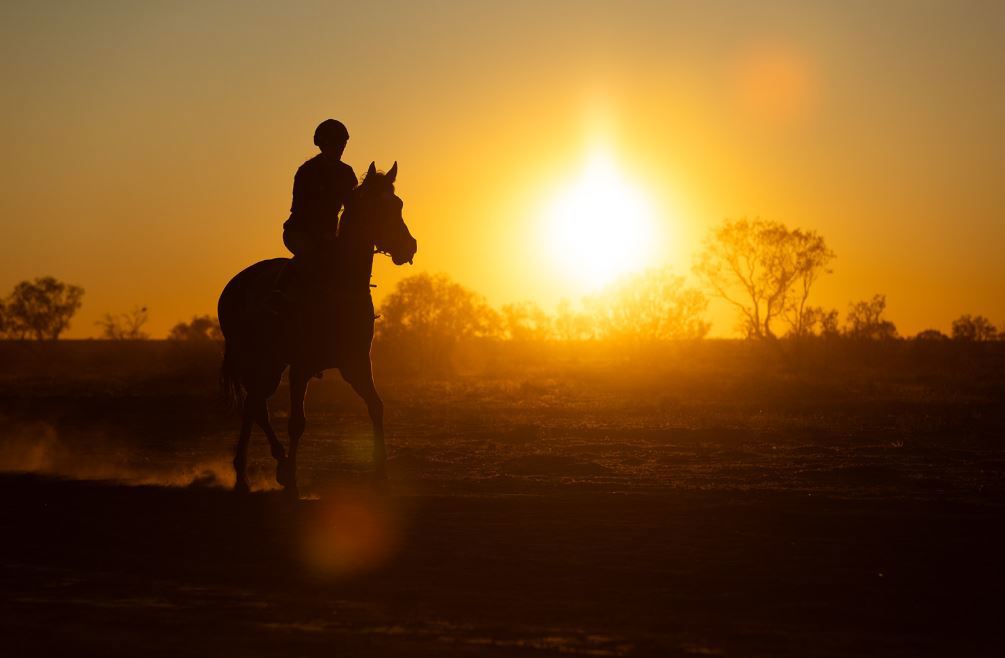 Birdsville Races