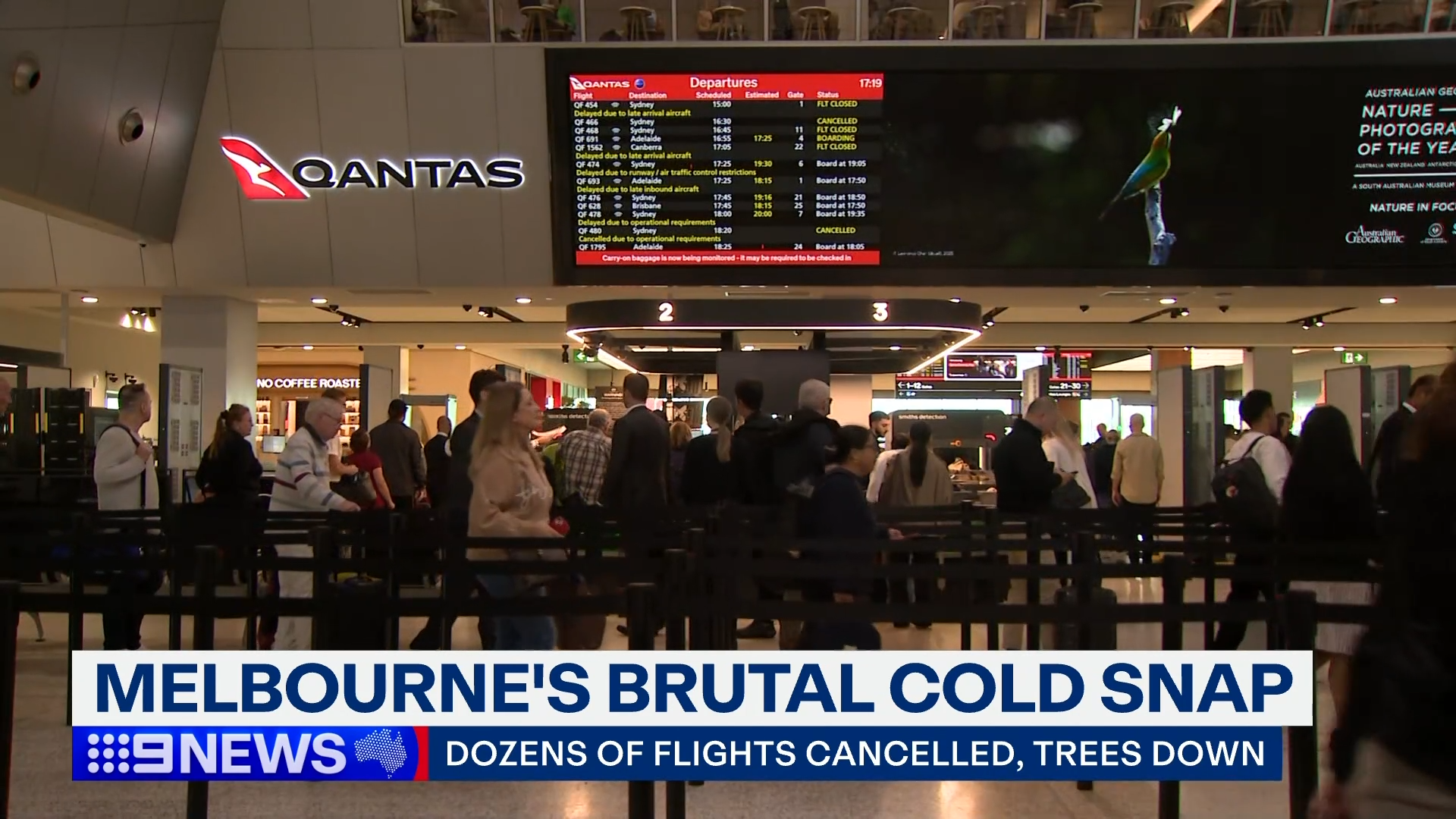 More than 40 flights Sydney arrivals and departures have been cancelled at Melbourne Airport this evening.