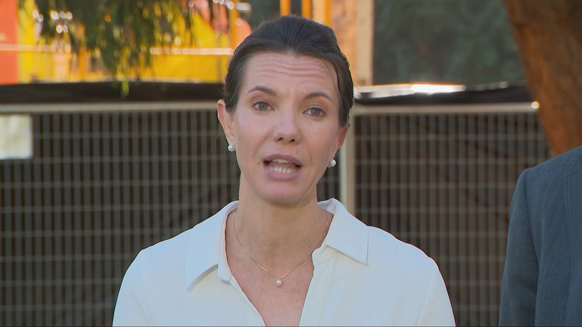 NSW Water Minister Rose Jackson. 