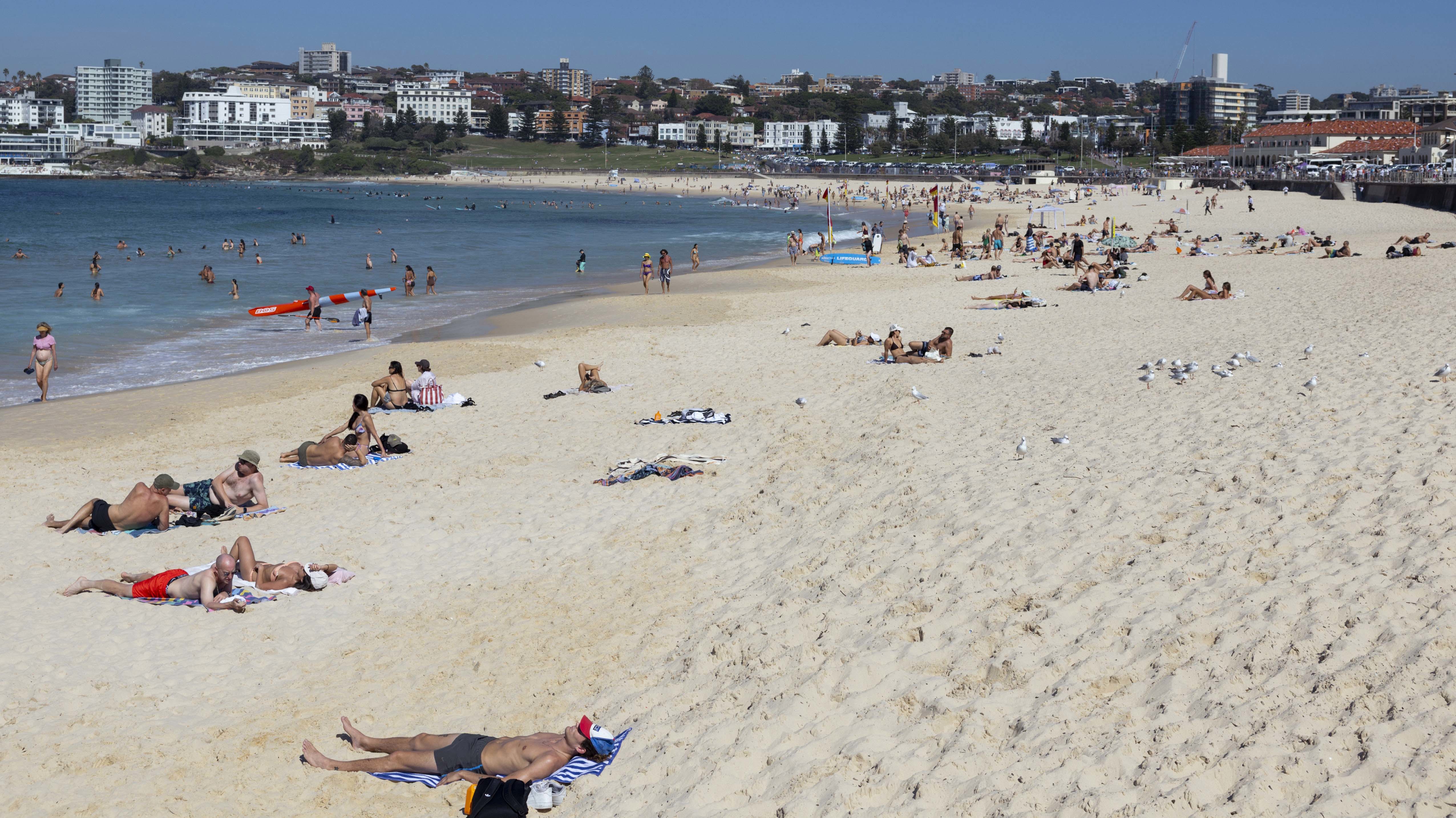 The council wants designated e-bike parking areas set up on footpaths and streets in busy areas like Bondi Junction, Bondi Beach and Bronte Beach. 