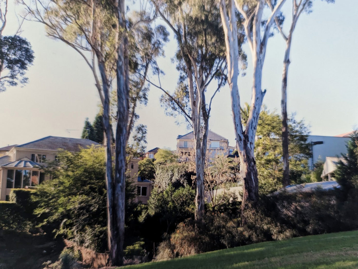 Garden in The Hills, Sydney