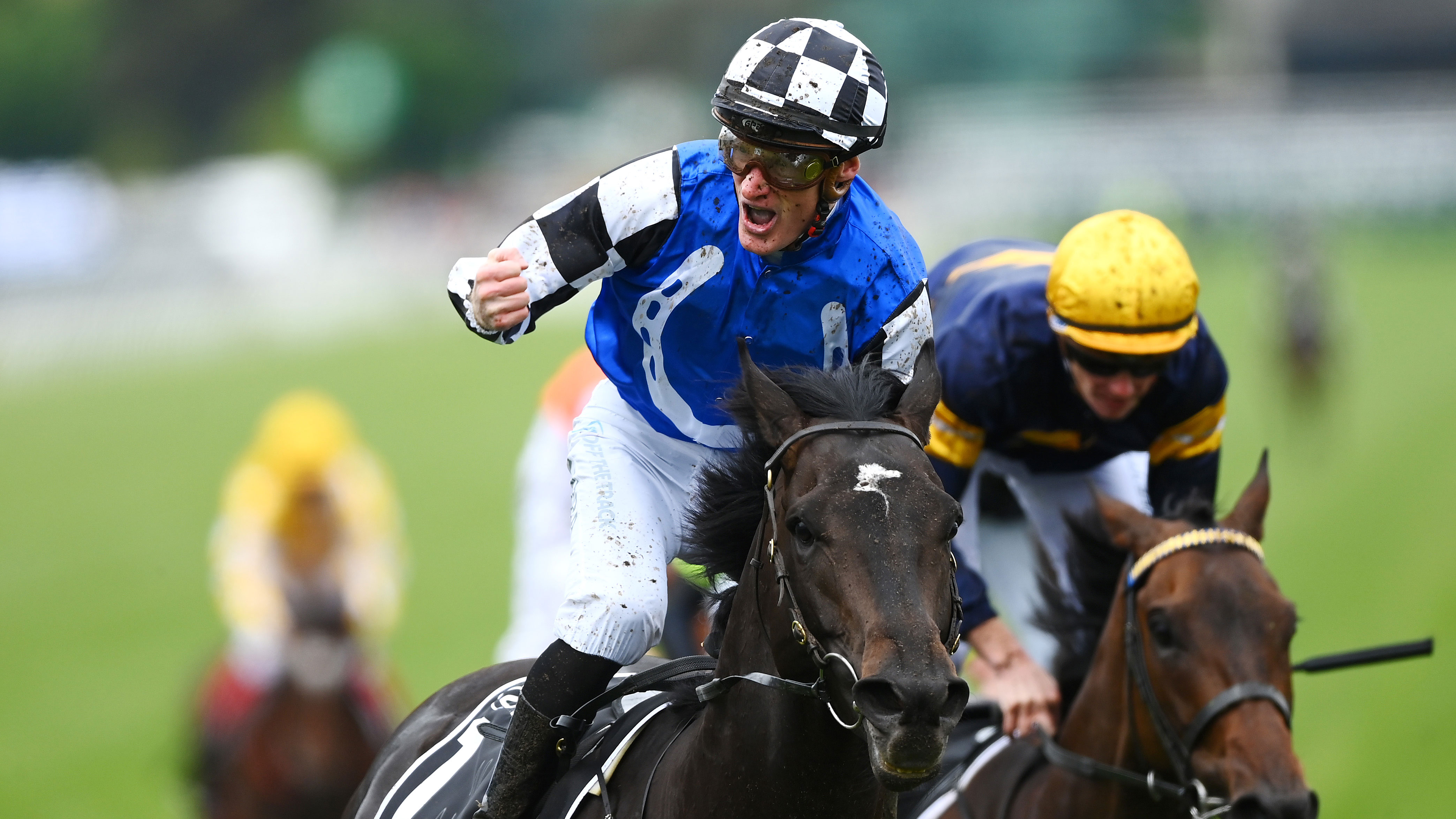 Melbourne Cup 2022 Liberty Decker