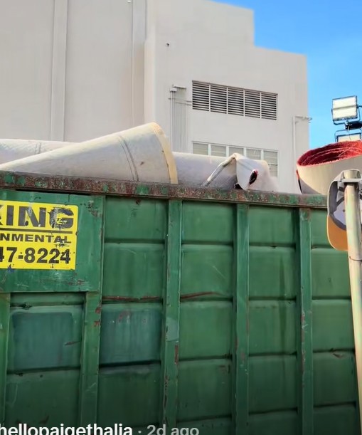 Paiga Thalia claims she found the 2026 Oscars red carpet in a dumpster near the Dolby Theatre.