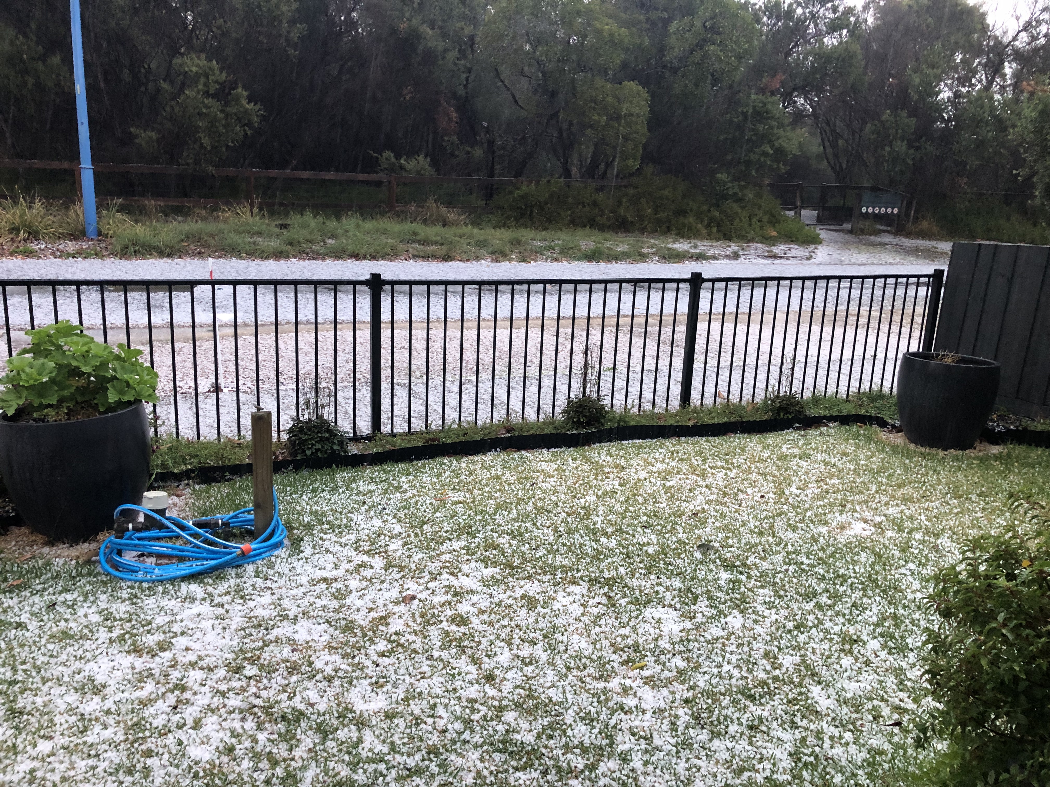 St Leonards in Victoria this morning. 