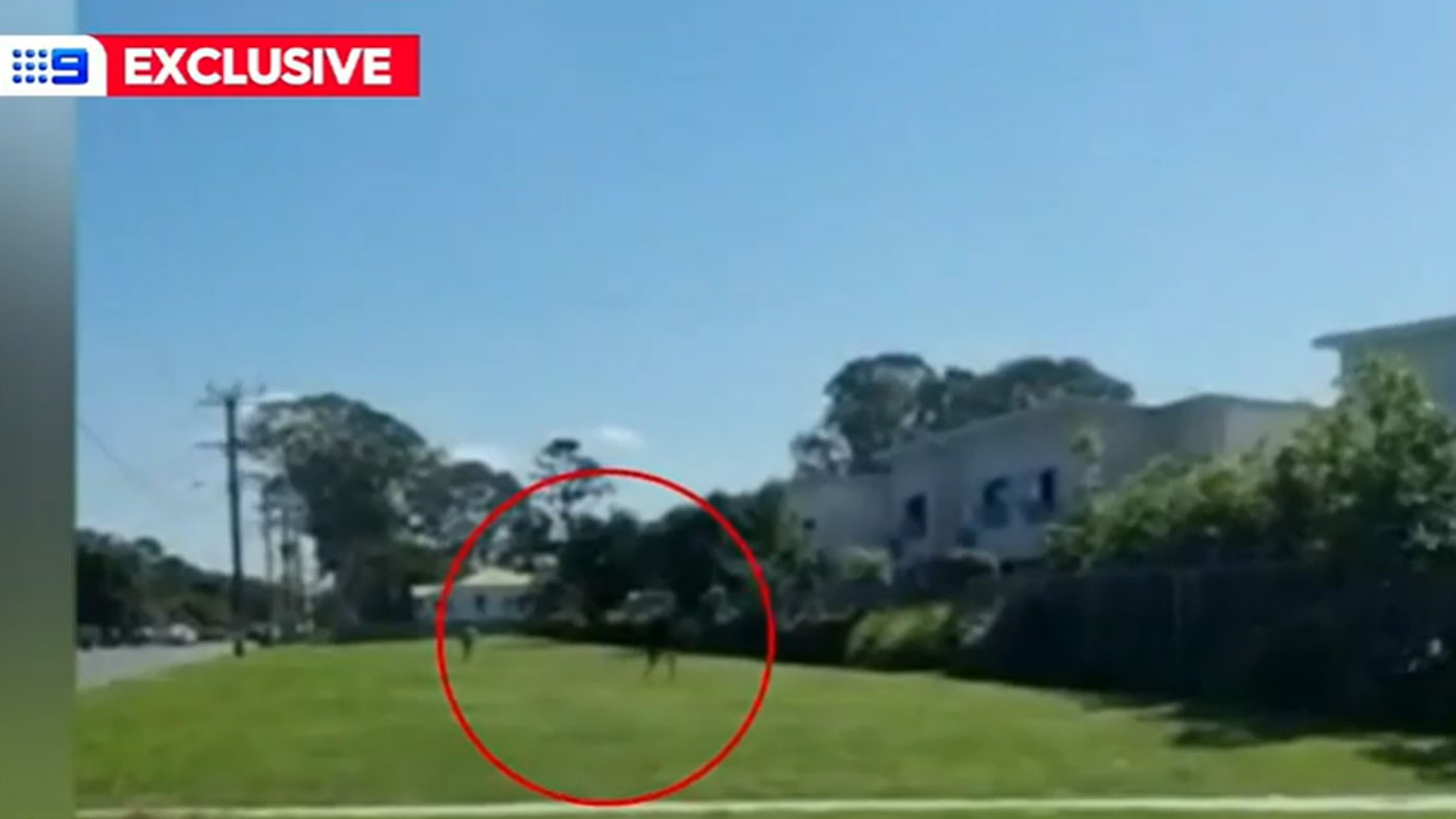 Two teenage boys and two teenage girls have been charged after a man died following a crash, involving an allegedly stolen car in Brisbane's east.