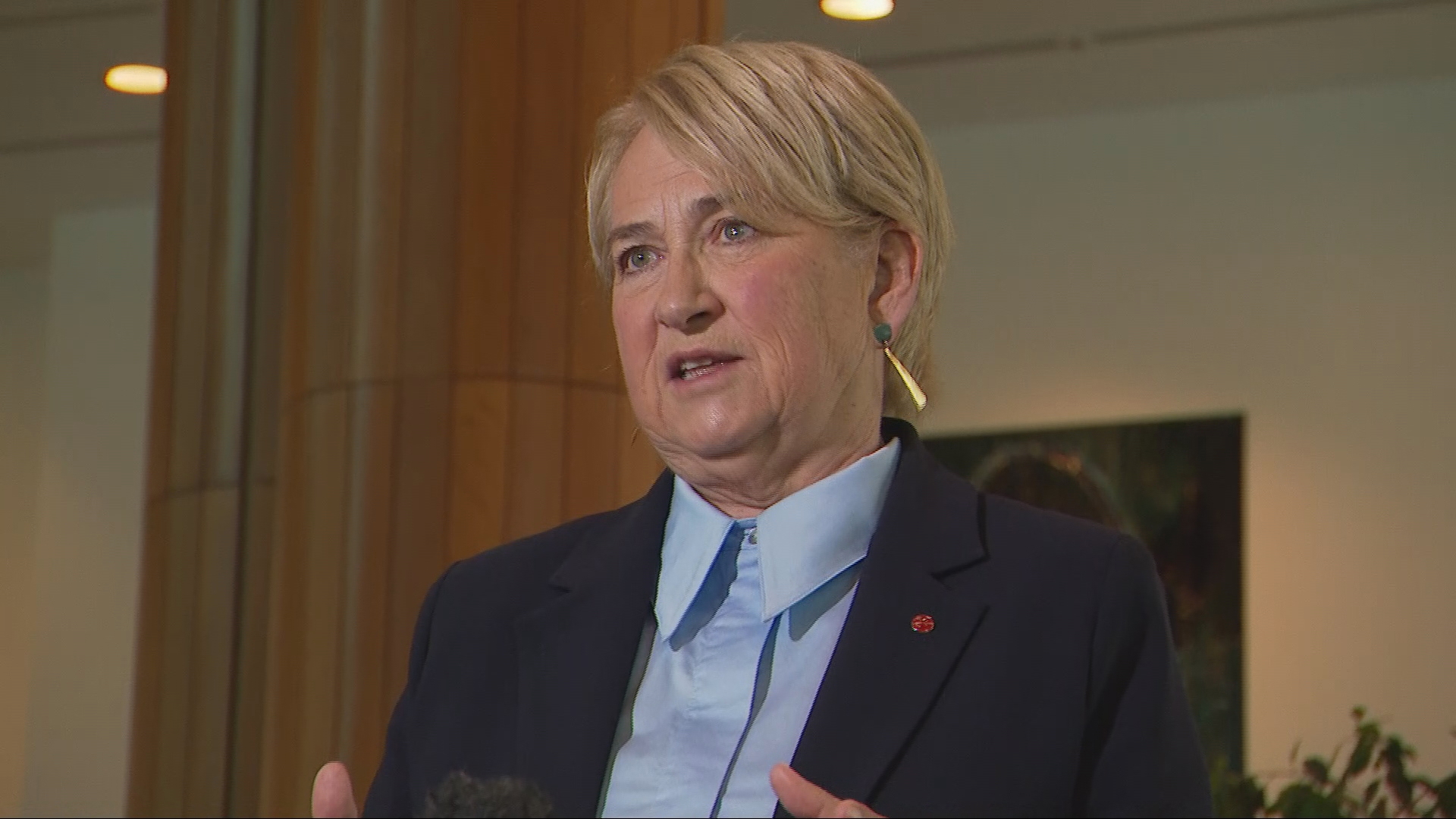 Greens Senator Barbara Pocock at Parliament House today.