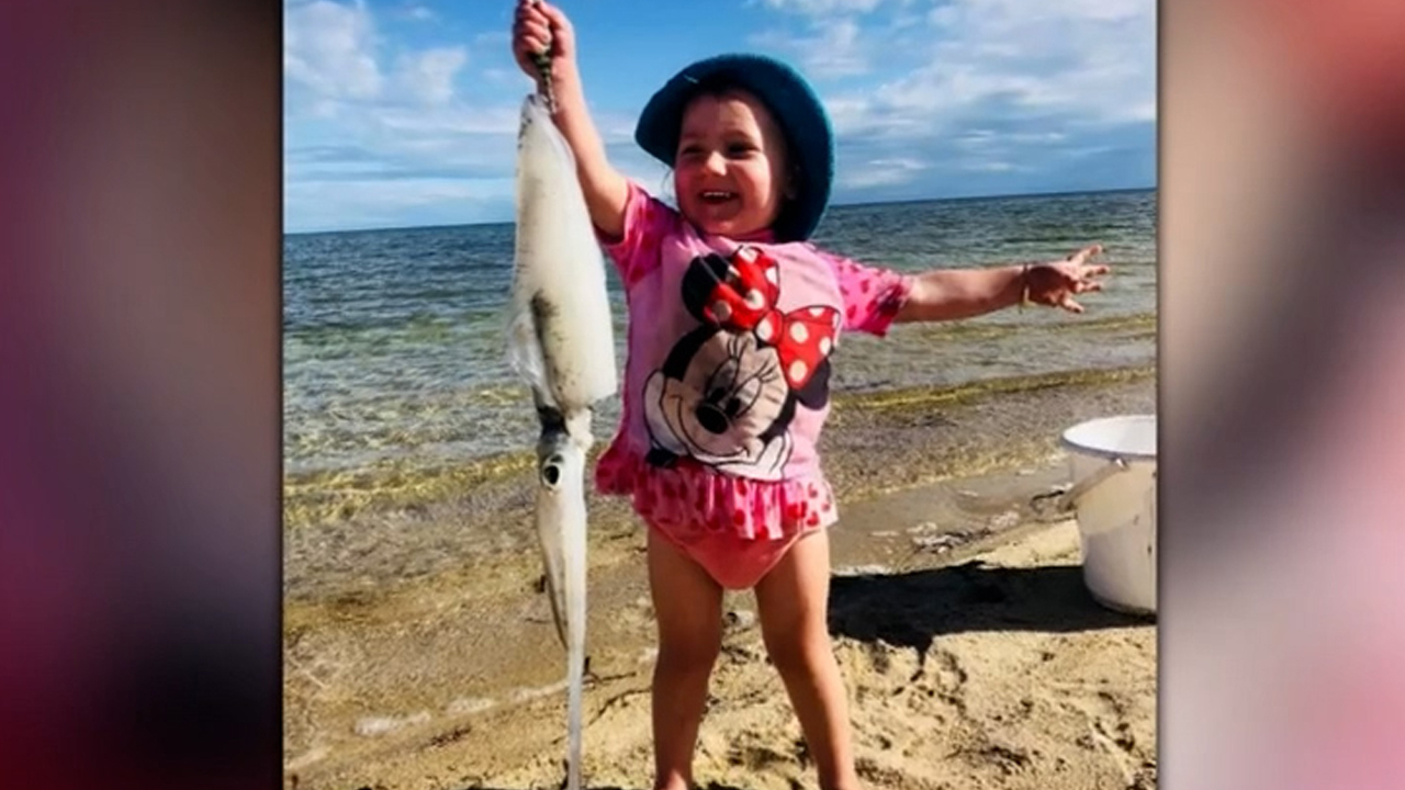 Cleo Smith was last seen at 1.30am on Saturday in a tent she was sleeping in with her parents at the Blowholes campsite in Macleod, Western Australia.