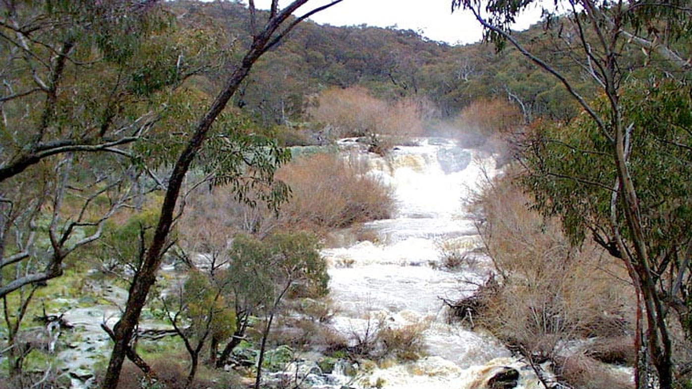 The Mullion State Forest, north of Orange, where two men allegedly shot and tortured kangaroos.