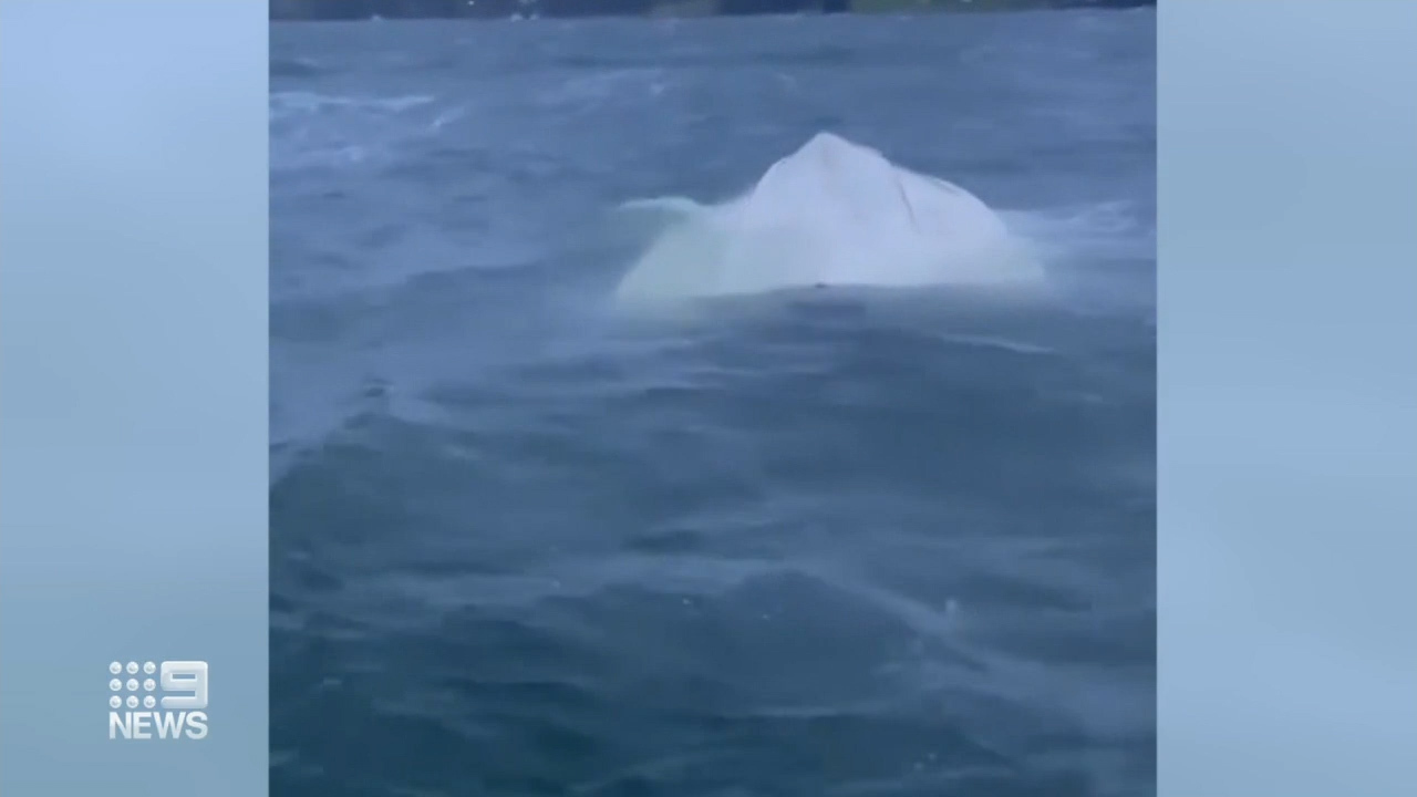 A boat capsized last night in Lake Macquarie with nine people on board.